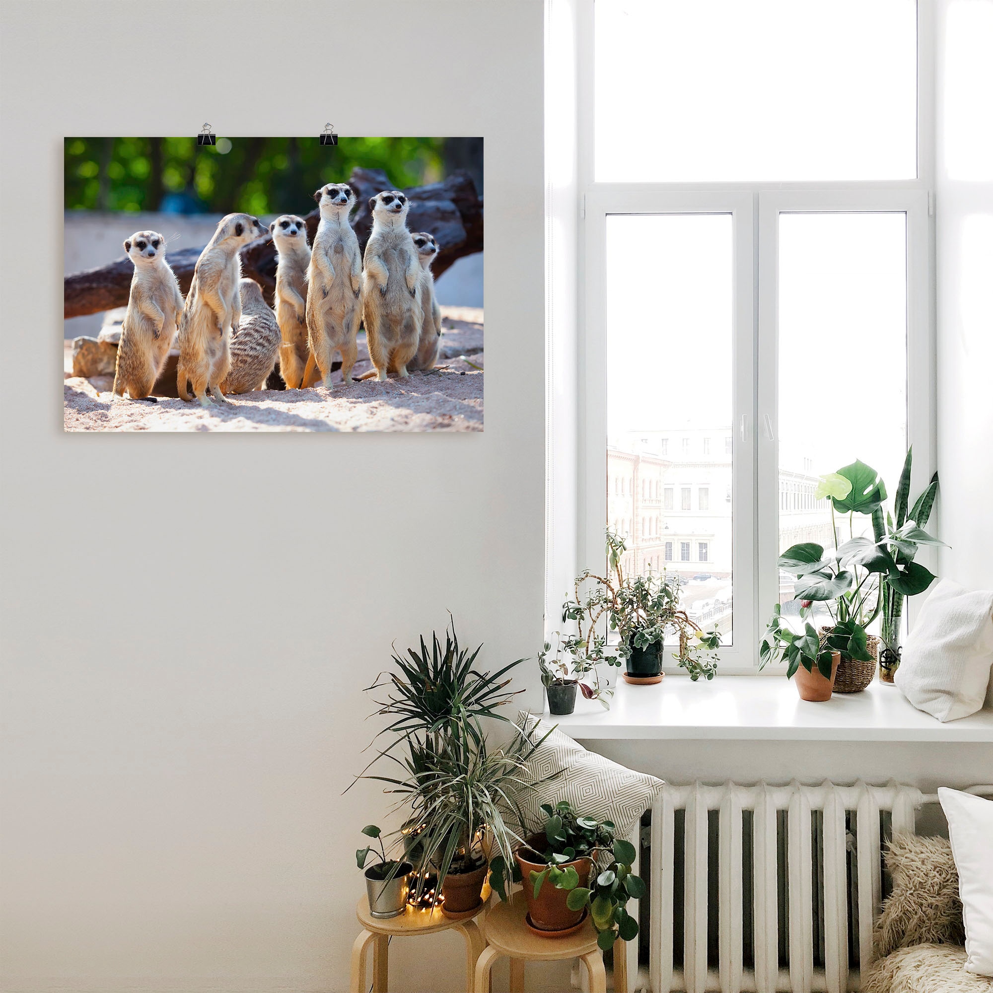 Artland Wandbild »Erdmännchenfamilie«, Wildtiere, (1 St.), als Poster,  Wandaufkleber in verschied. Größen | BAUR