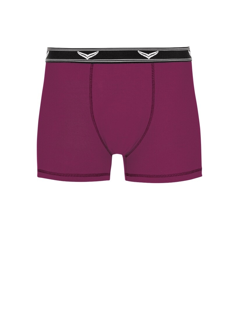 Trigema Boxer "TRIGEMA Bequeme Pants mit Webgummibund", 1 Stk. günstig online kaufen