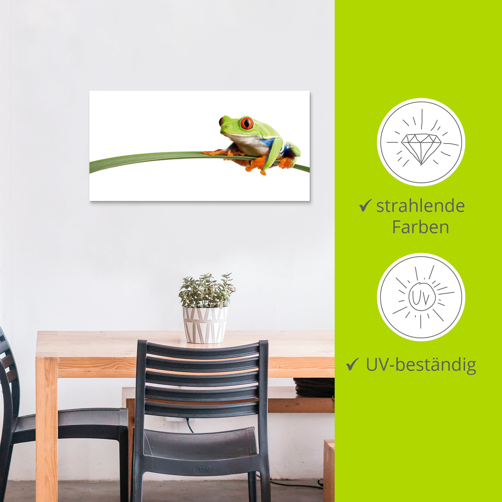 Artland Wandbild »Frosch auf einem Blatt«, Wassertiere, (1 St.), als Alubild, Outdoorbild, Leinwandbild, Poster, Wandaufkleber