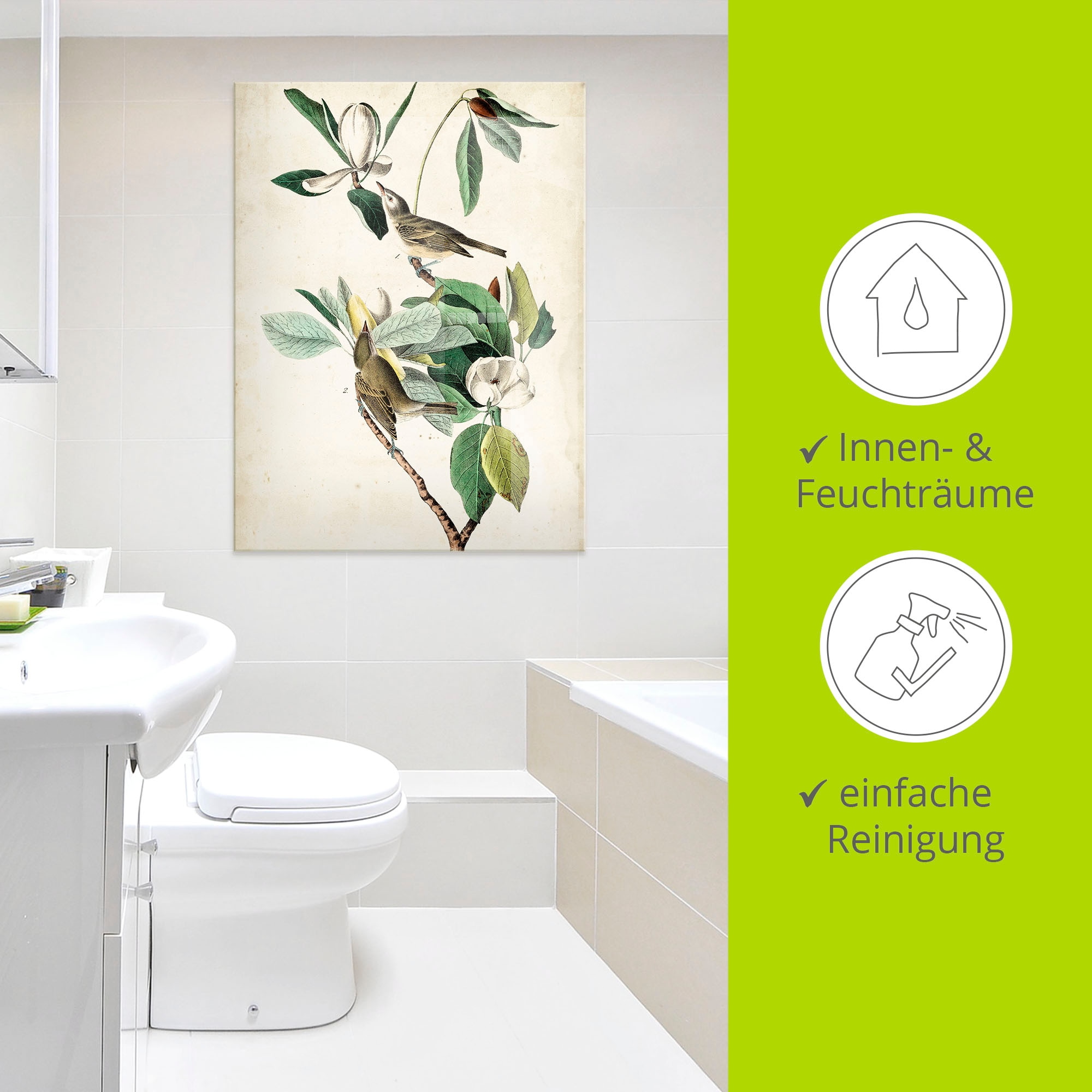Artland Glasbild »Sängervireo«, Vögel, (1 St.), in verschiedenen Größen