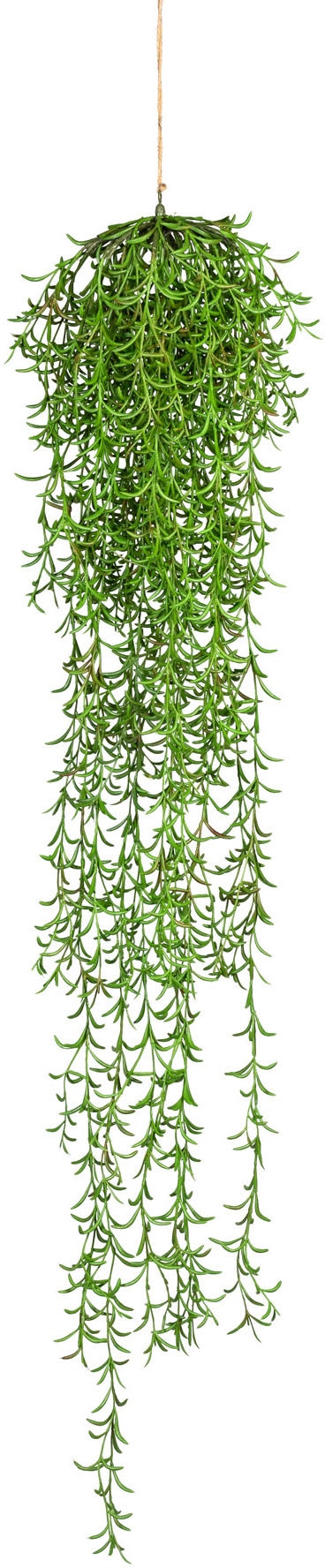 kaufen Kunstranke Creativ »Nerifolia-Hängezopf« BAUR | green