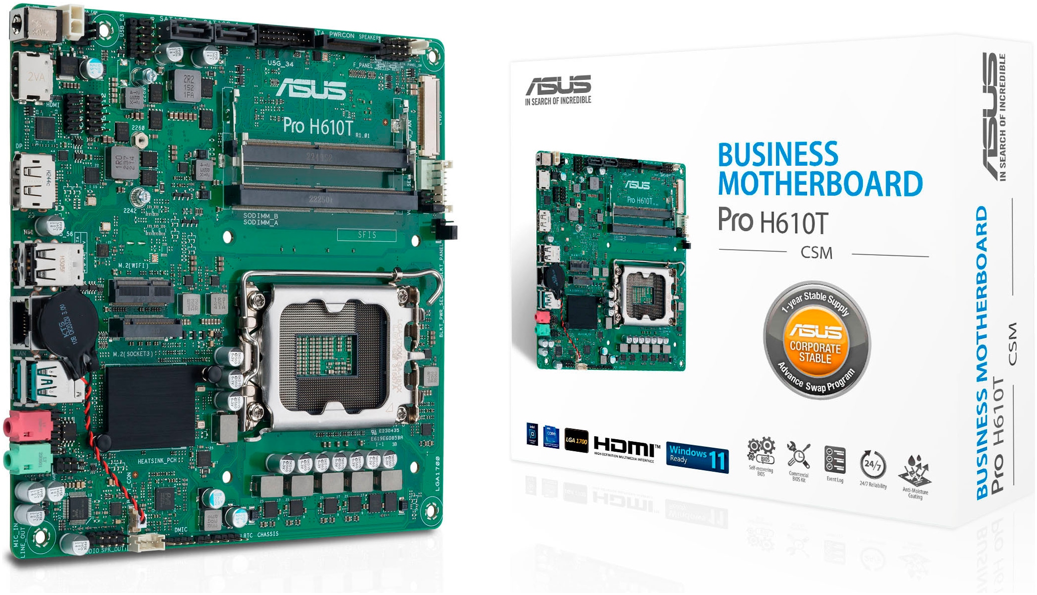 Asus Mainboard »PRO H610T-CSM«