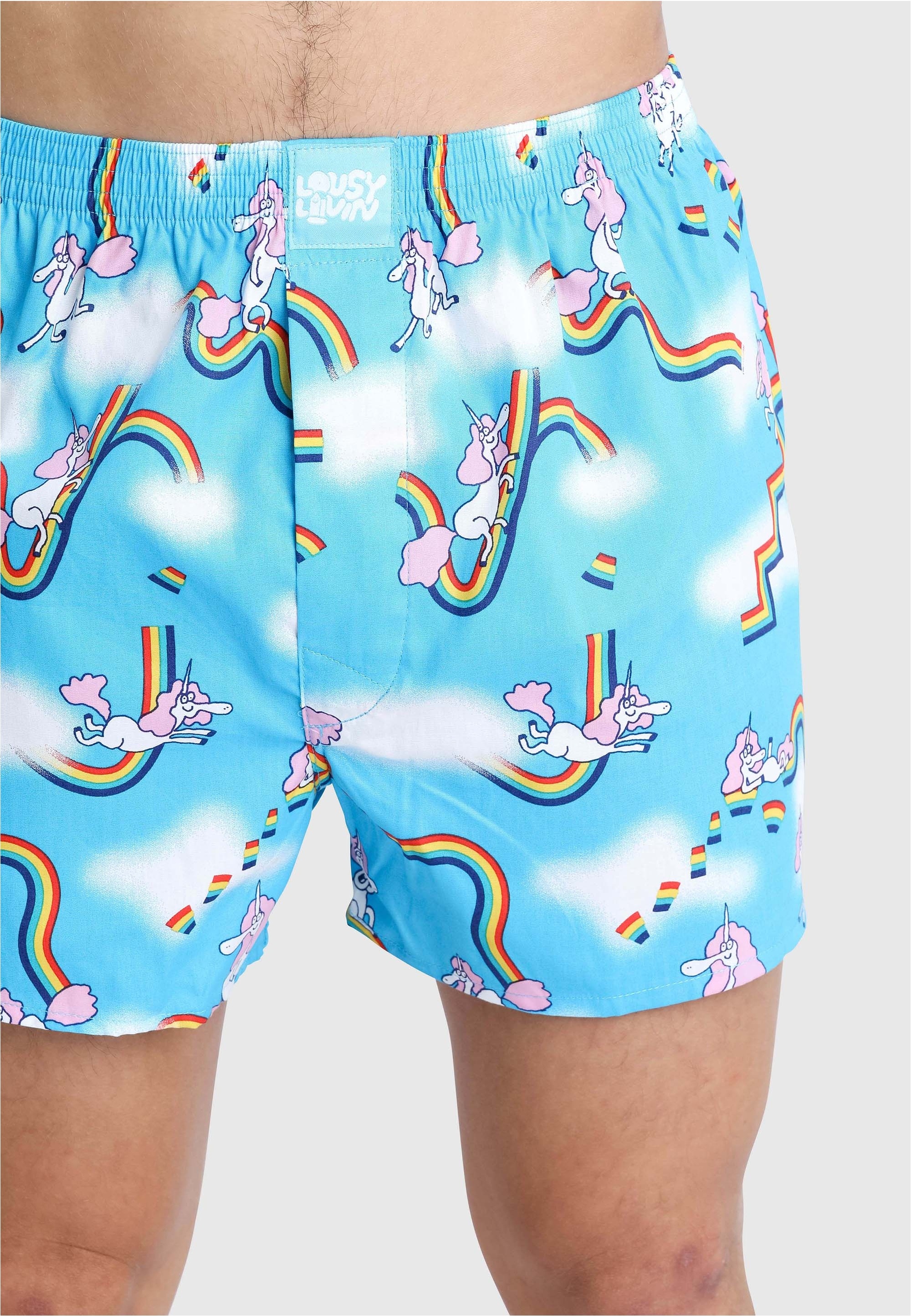 Lousy Livin Boxershorts »Sky Gym & Dolphin 2 Pack«, mit buntem Allover-Print