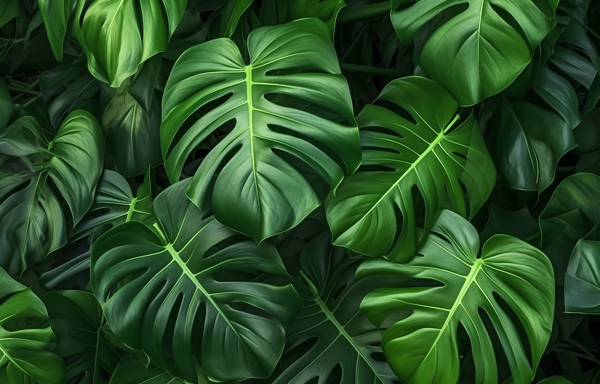 queence Acrylglasbild "Monstera Blätter Wald Illusion" 1 Stk. tlg. mit schwebender 3D Tiefenwirkung, dank der rahmenlosen Befestigung