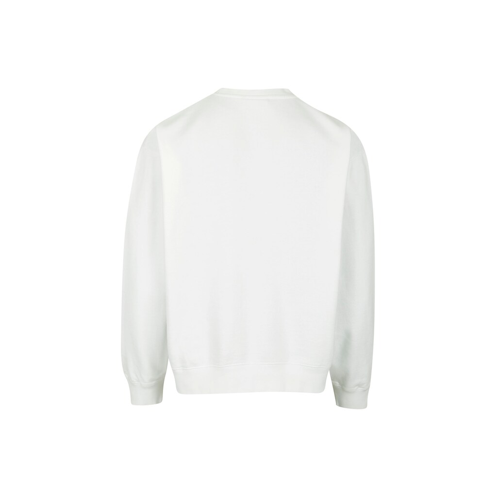 Cleptomanicx Sweatshirt »Fading Gull«