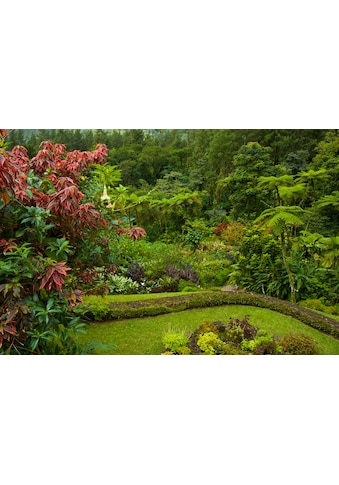 Fototapete »GARTEN-BLUMEN BÄUME PFLANZEN PARK STEINE BLÜTEN WALD«