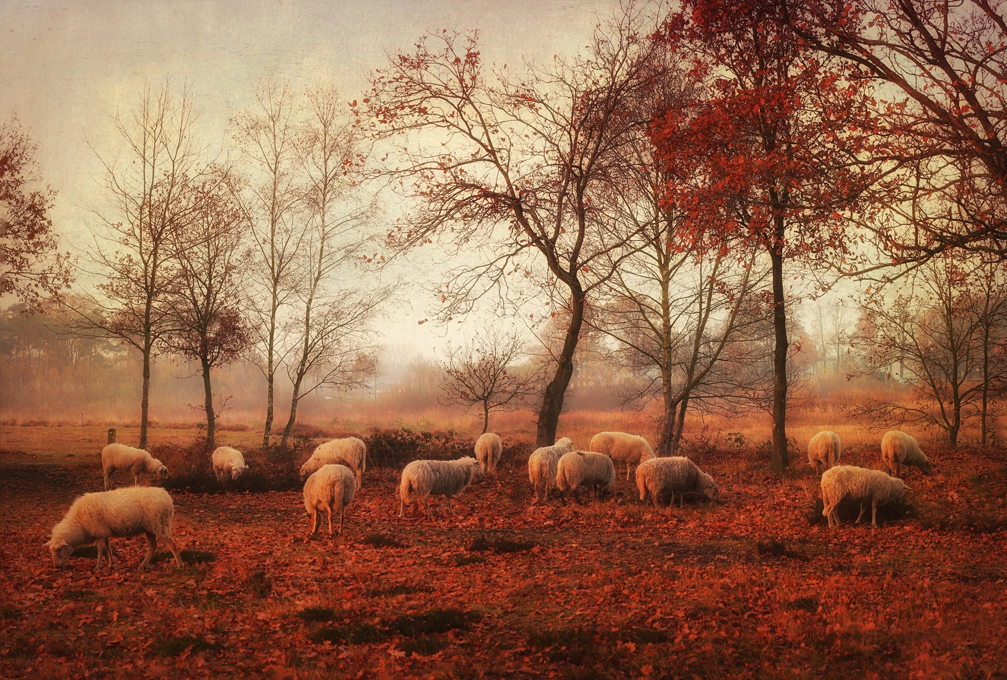 Papermoon Fototapete "Photo-Art ELLEN VAN DEELEN, LETZTE TAGE DES HERBSTES"