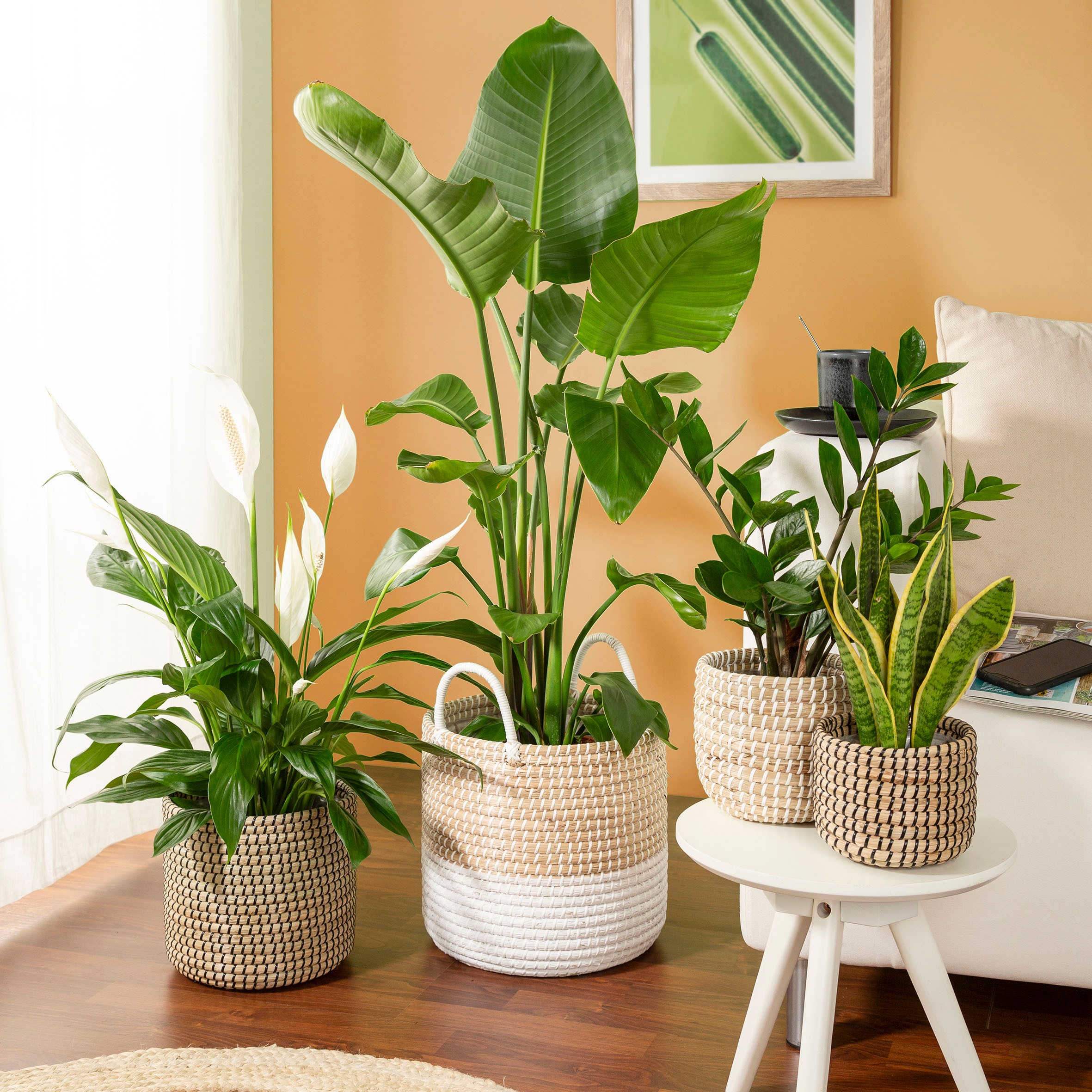 Scheurich Blumentopf »white 15/513«