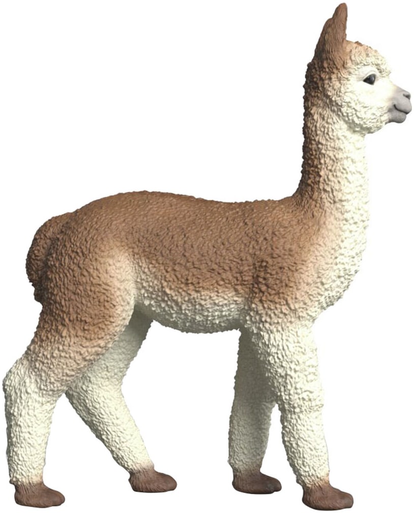 Schleich® Spielfigur »FARM WORLD, Alpaka (14928)«