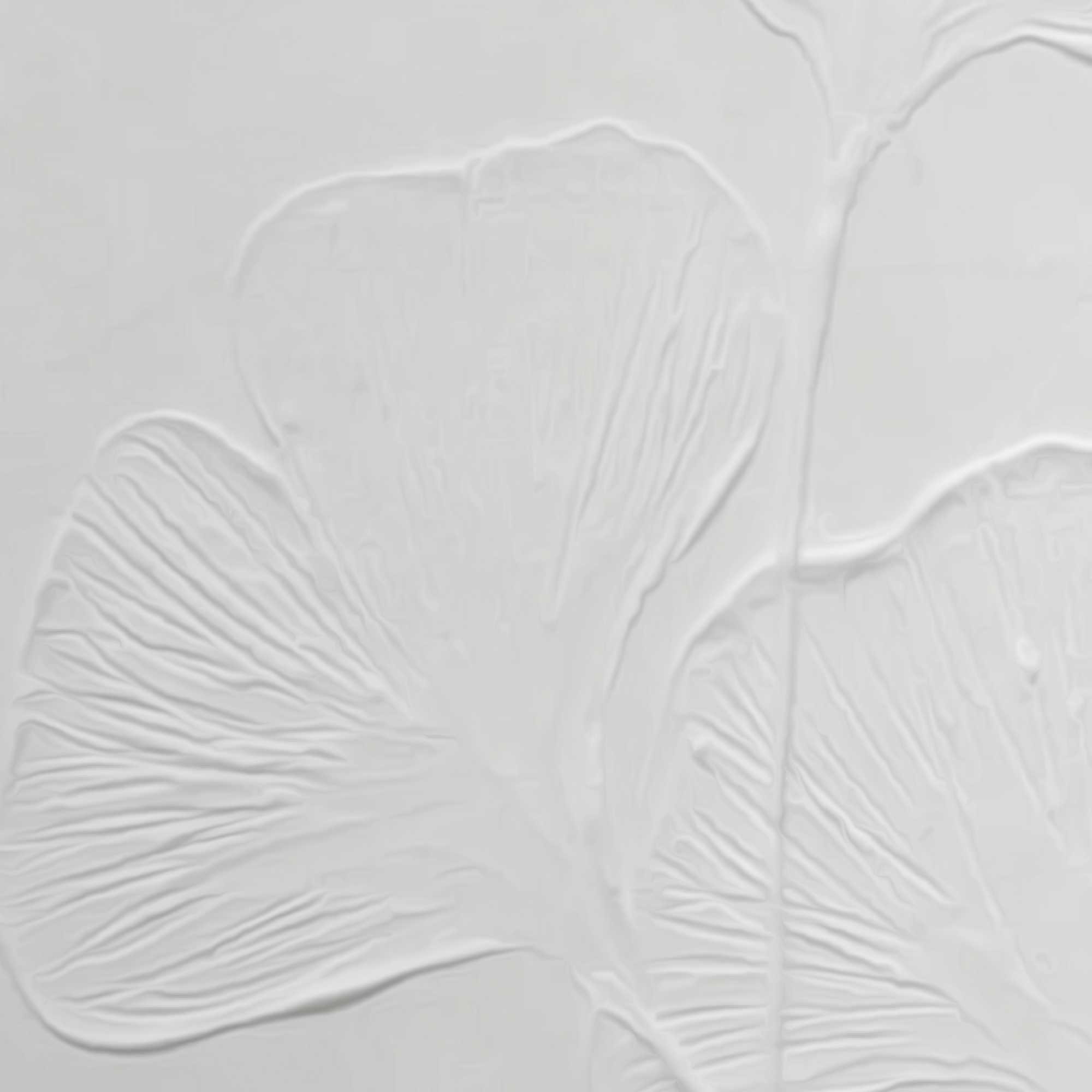 Reinders! Wandbild »Ginkgo-Blätter«, Wohnzimmer - Weiß - MDF - Blumen und Pflanzen - 30x40 cm