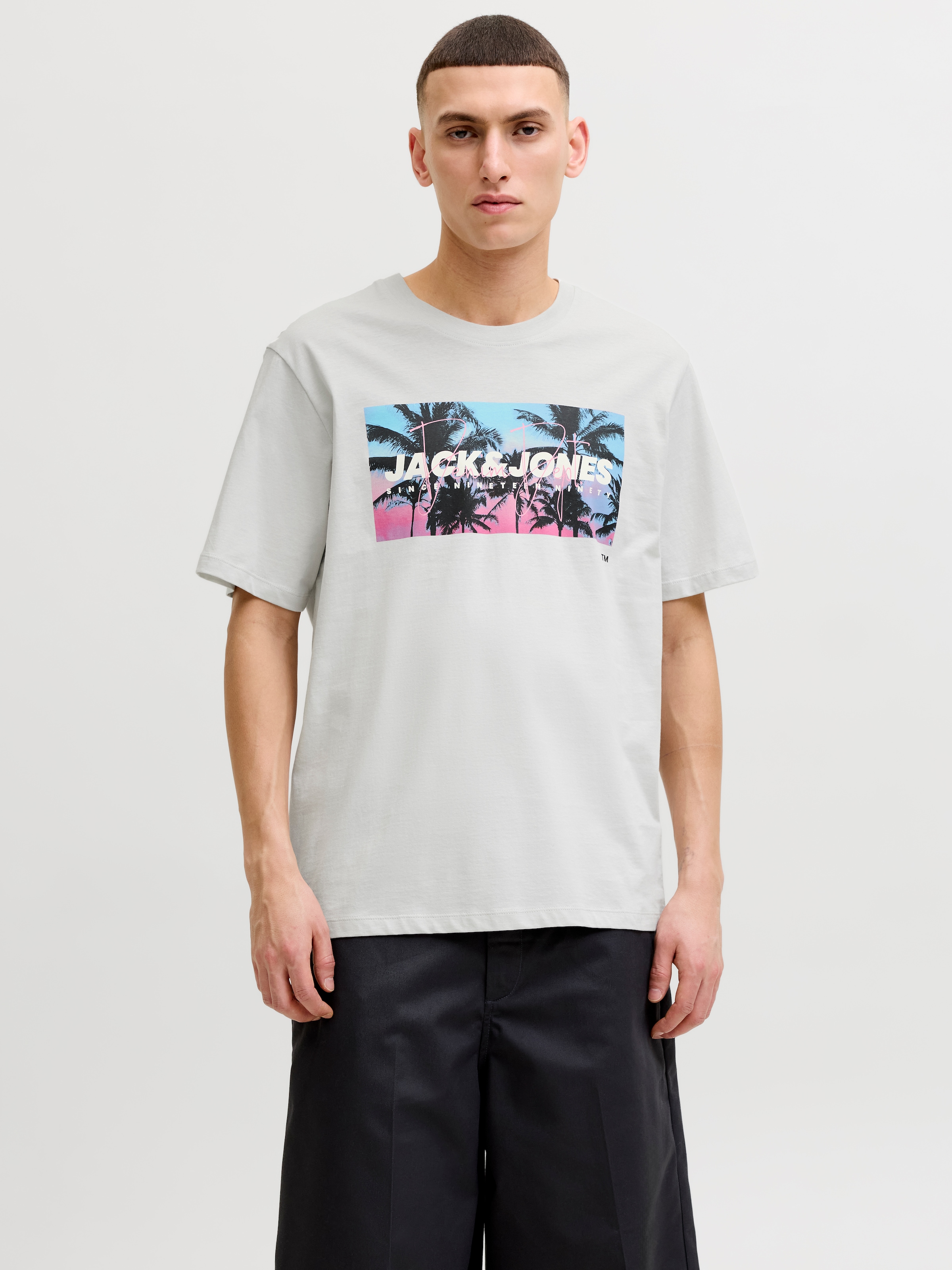 Jack & Jones Rundhalsshirt "JJINDIANA TEE SS CREW NECK"