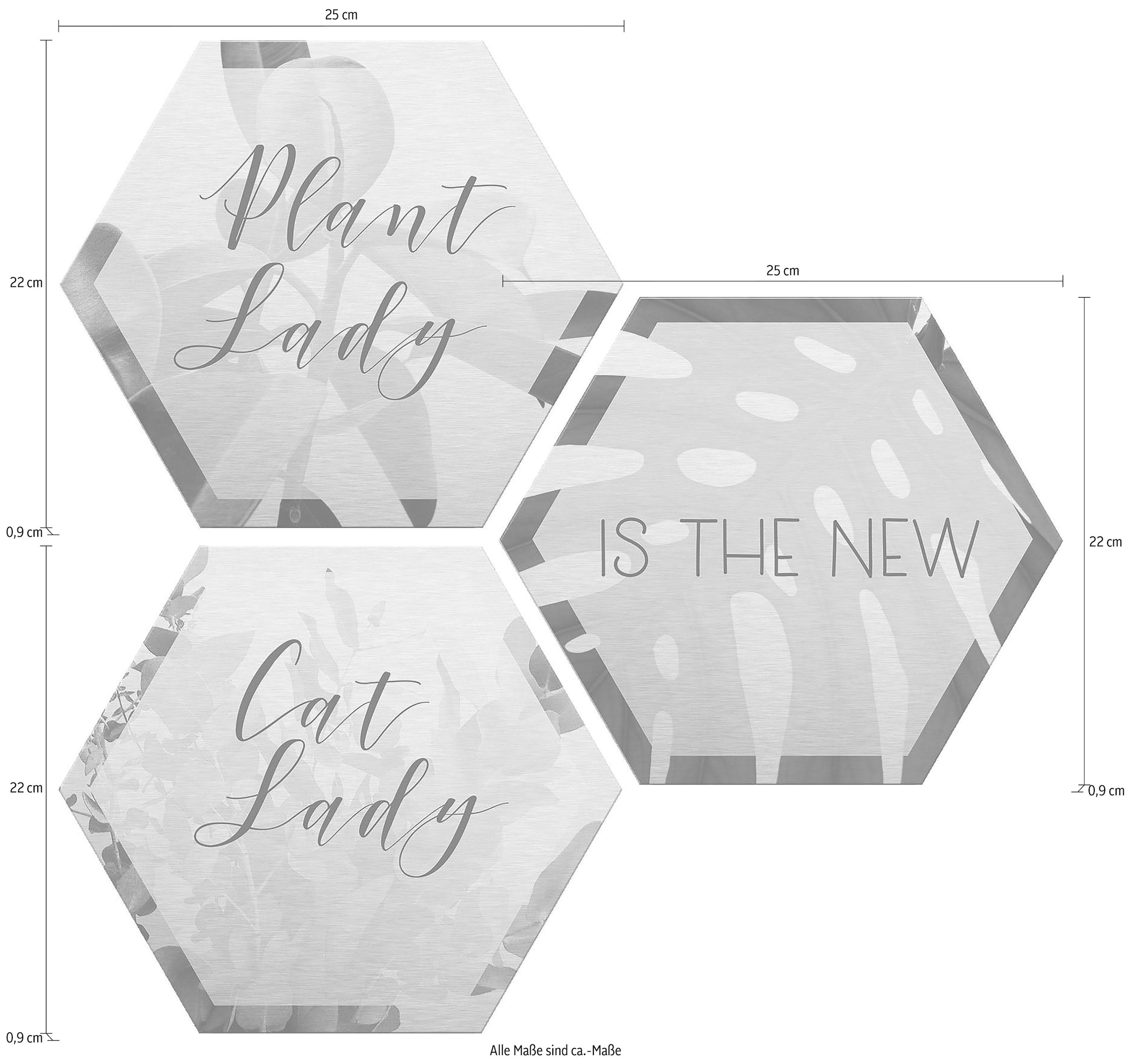 Wall-Art Metallbild »Plantlady is the new Catlady«, (Set), Metallposter Collage