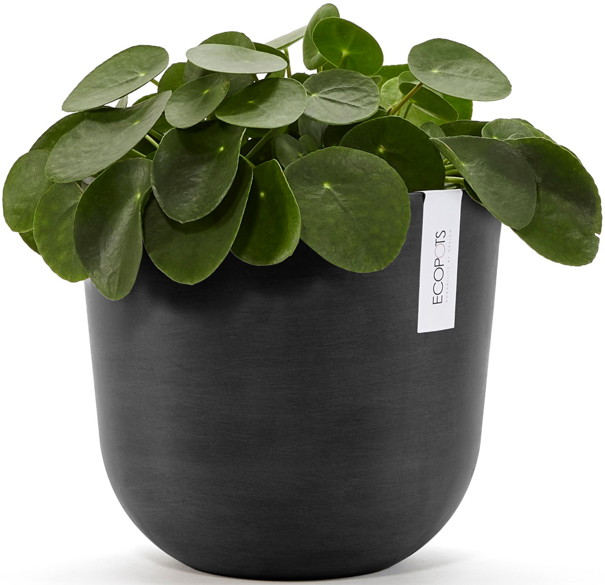 ECOPOTS Blumentopf »Oslo 25 + Wassersystem Dunkelgrau«, für innen und außen: frostsicher, bruchsicher und lichtbeständig