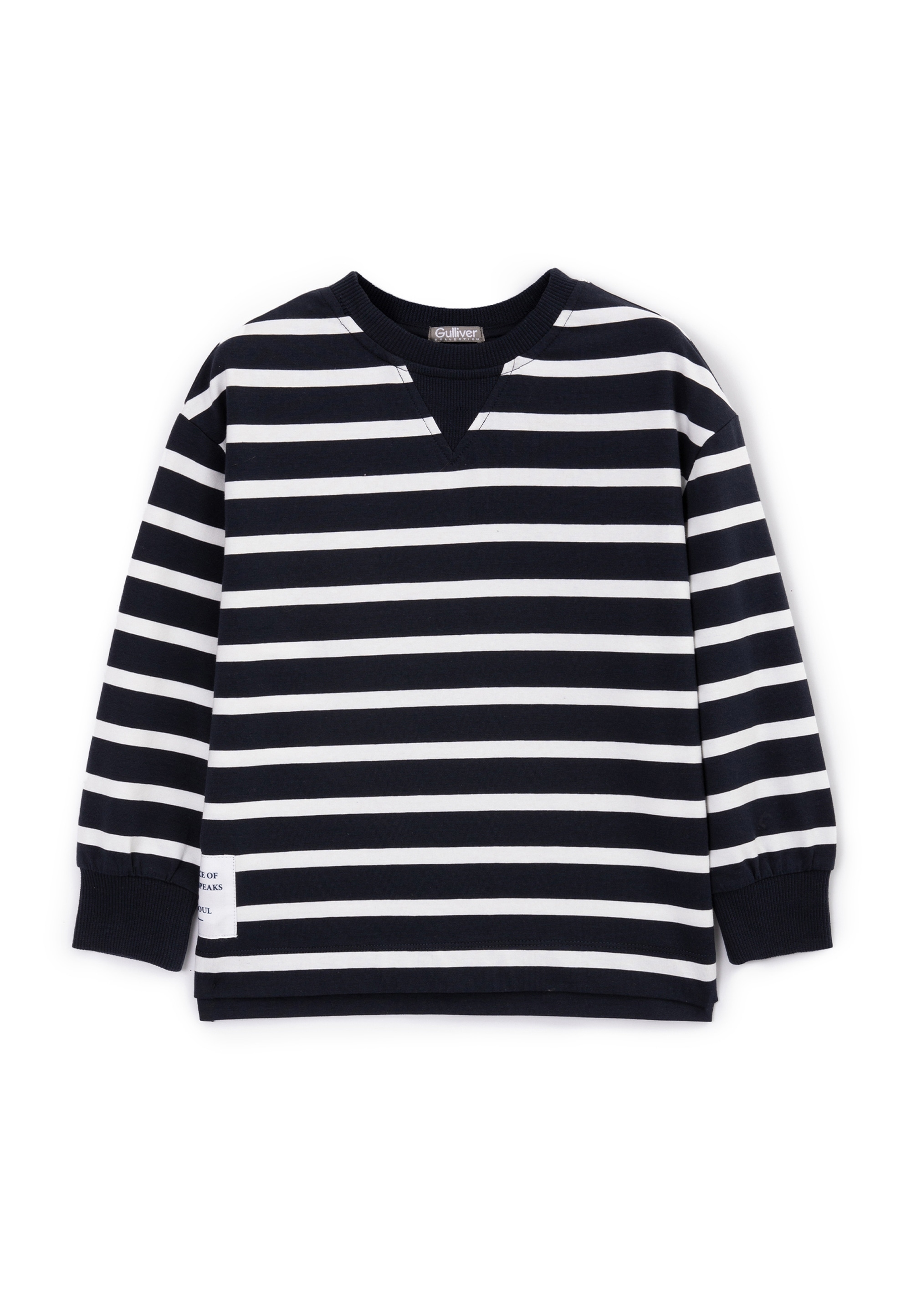 Gulliver Langarmshirt, mit Streifenprint