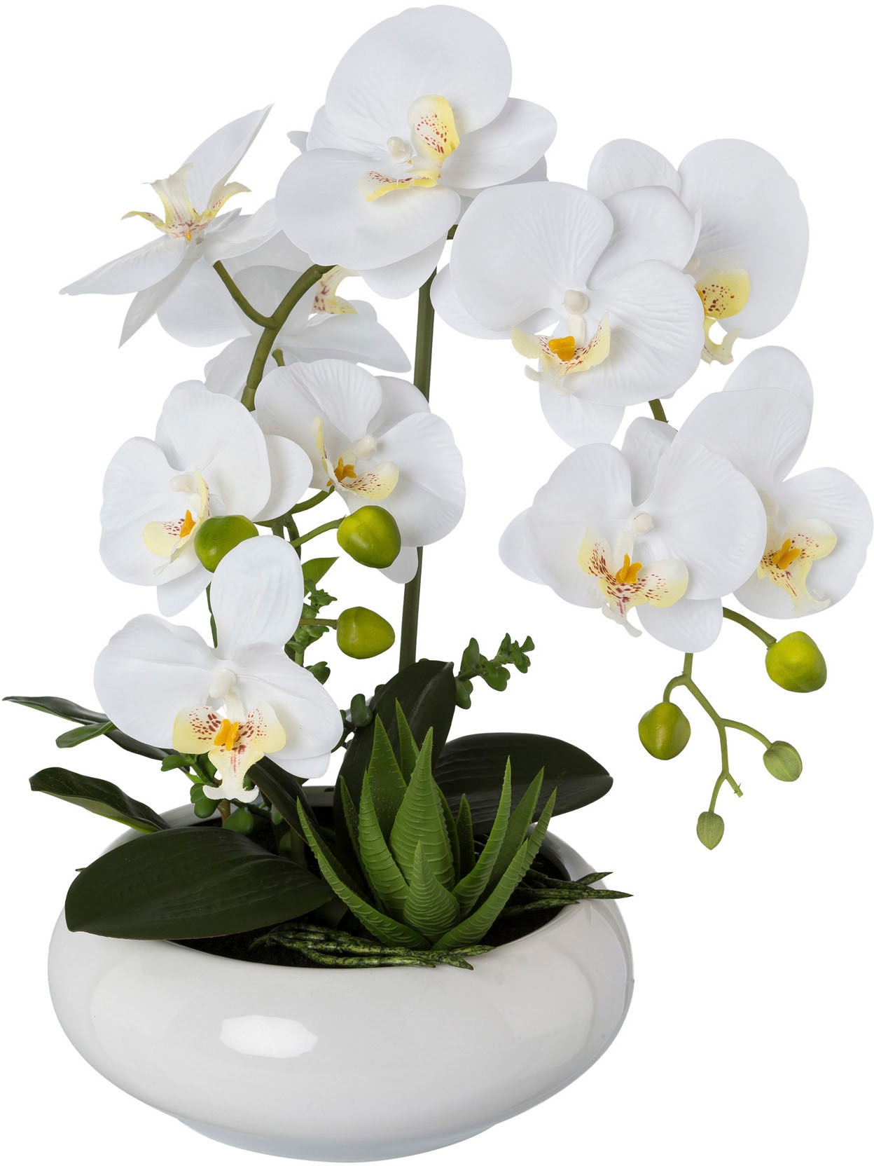 Creativ green Kunstorchidee »Phalaenopsis«, (1 St.), in Keramikschale kaufen