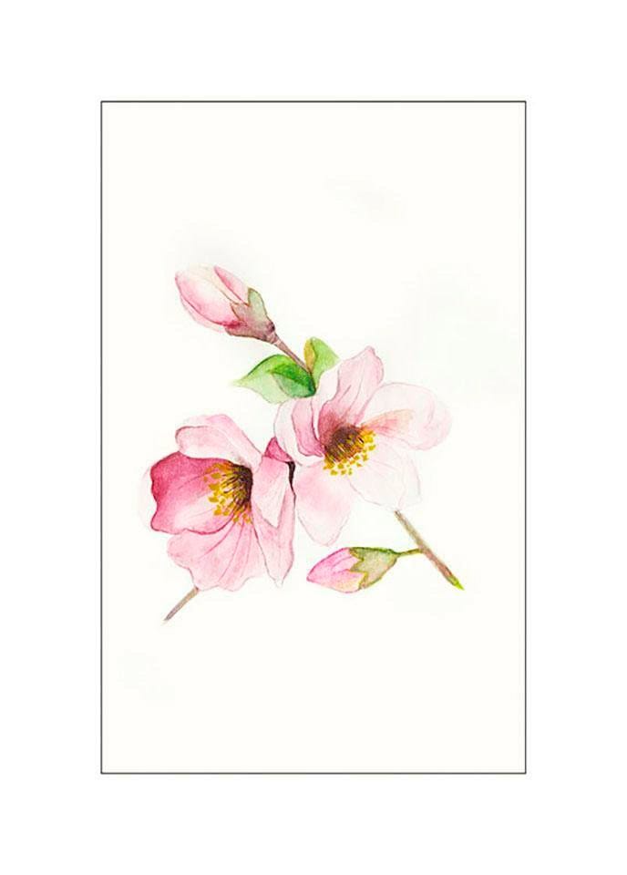 Komar Bild "Magnolia Breathe" Blumen 1 Stk. tlg. Wandbild zur Dekoration - ohne Rahmen