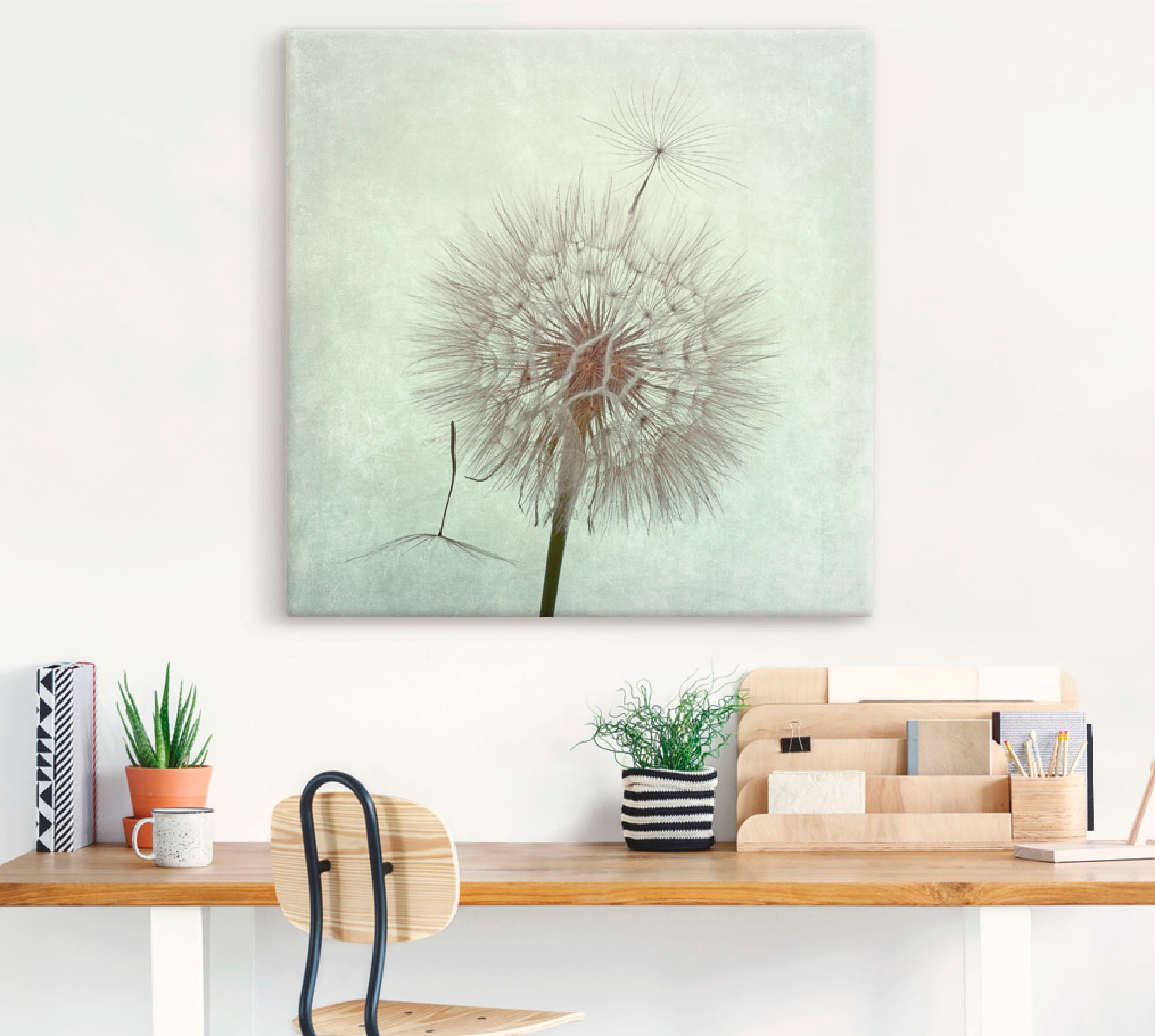 Artland Leinwandbild "Pusteblume II" Blumen 1 Stk. tlg. als Leinwandbild, P günstig online kaufen