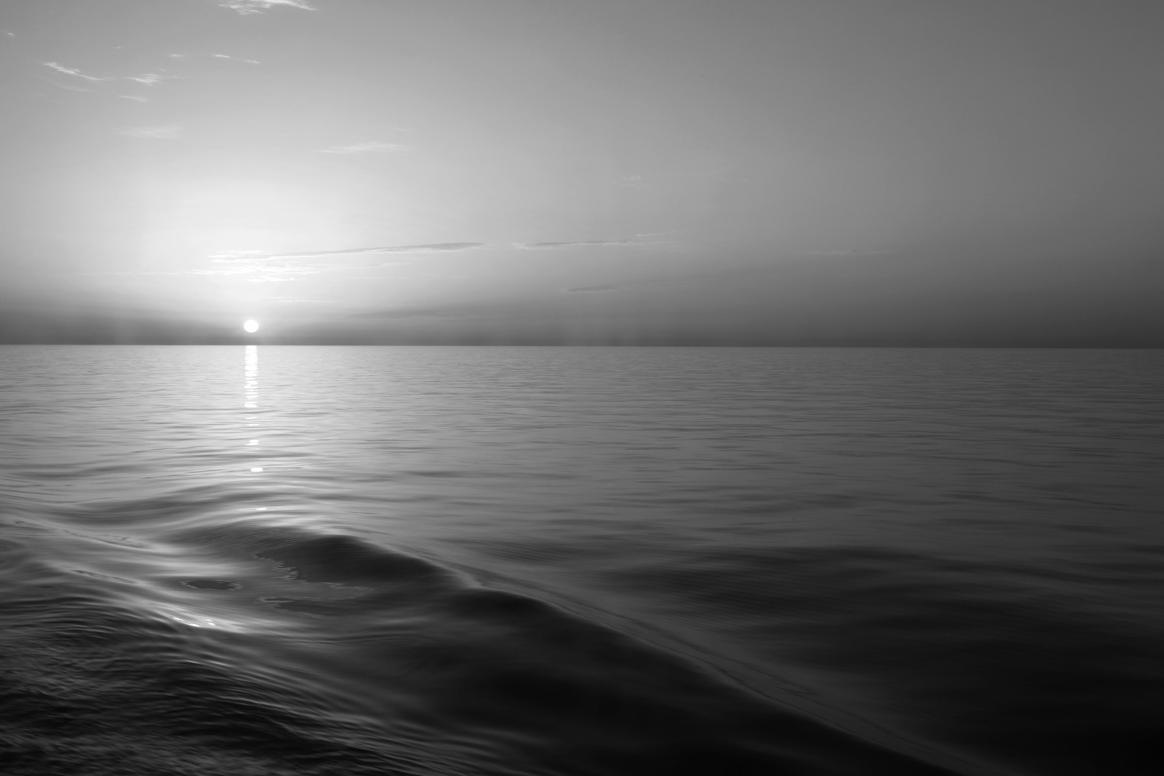 Papermoon "Meer Schwarz & Weiß"