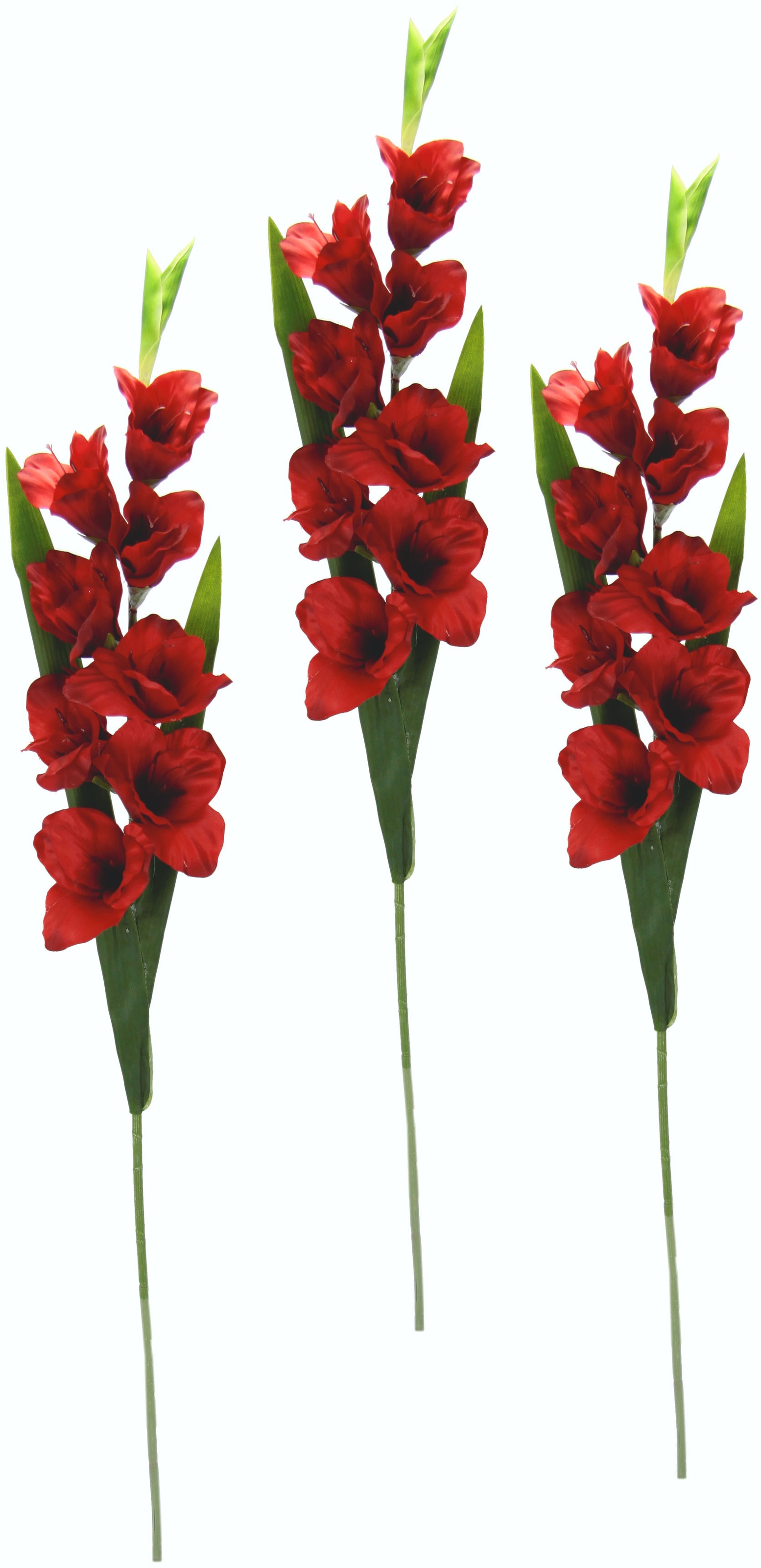 I.GE.A. Kunstblume »Gladiole« 3vnt. rinkinys