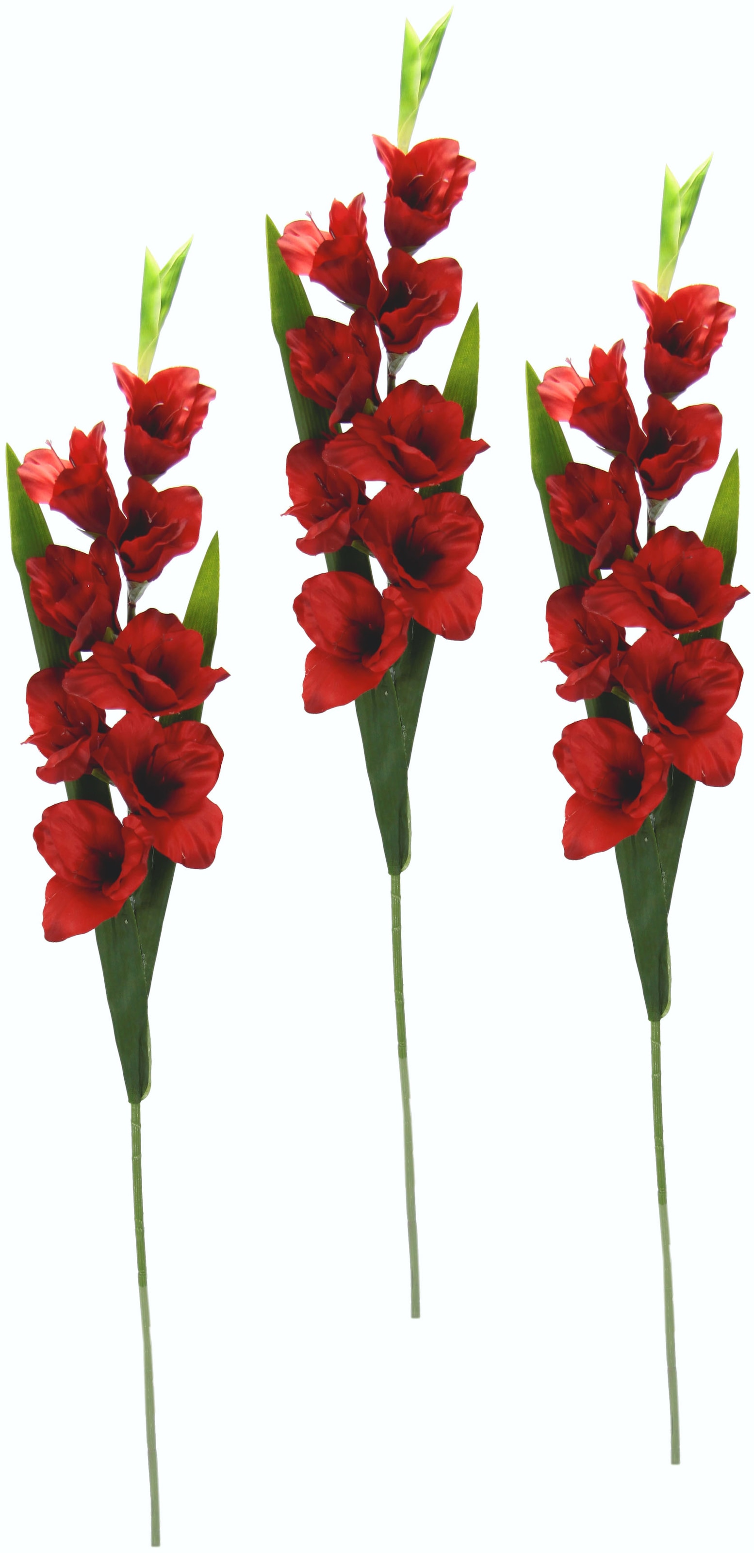 I.GE.A. Kunstblume "Gladiole", 3er Set günstig online kaufen