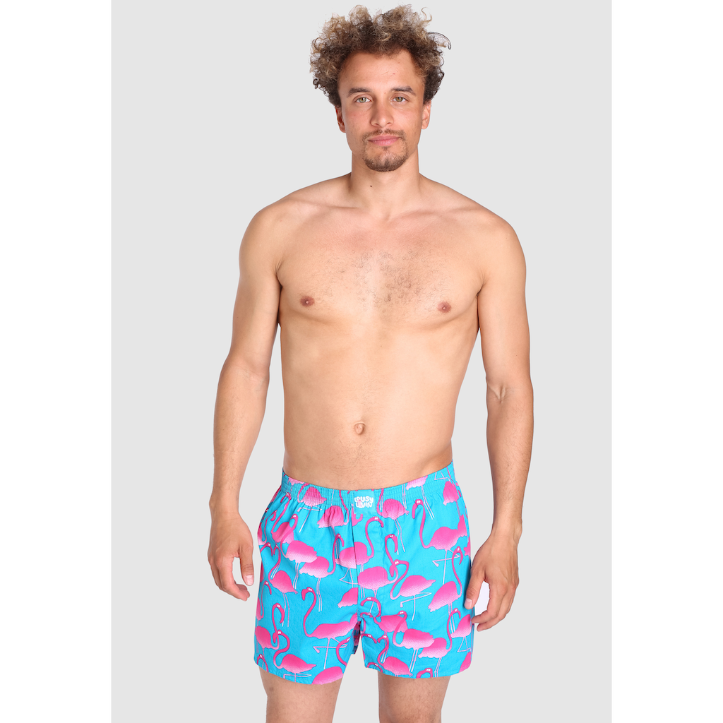 Lousy Livin Boxershorts »Flamingo«