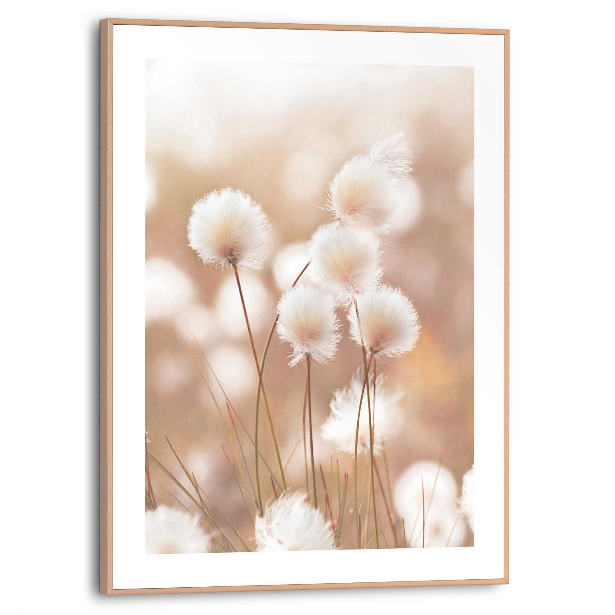 Reinders Bild mit Rahmen "Cotton Pops" günstig online kaufen