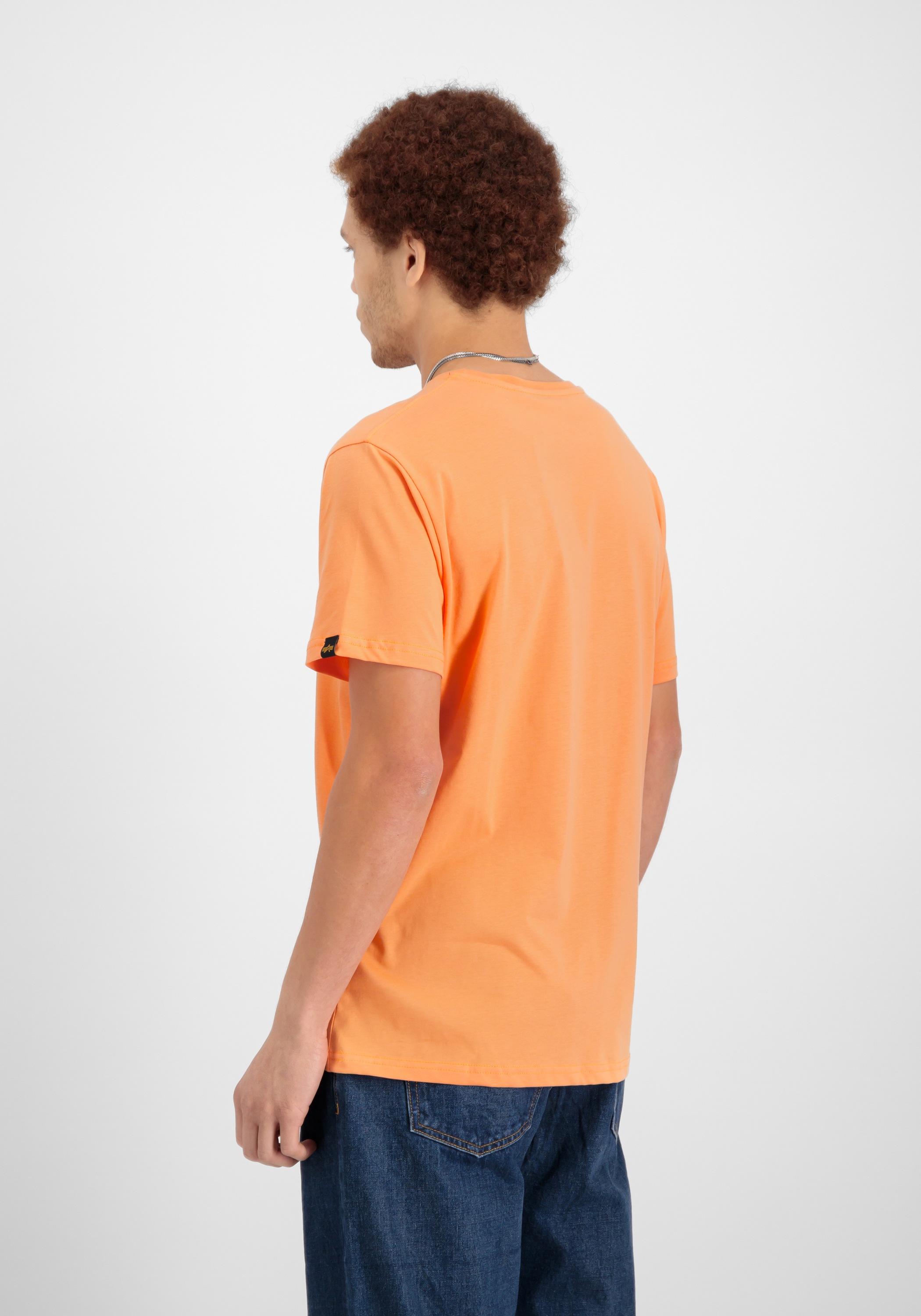 Alpha Industries T-Shirt »Holographic SL T-Shirt«