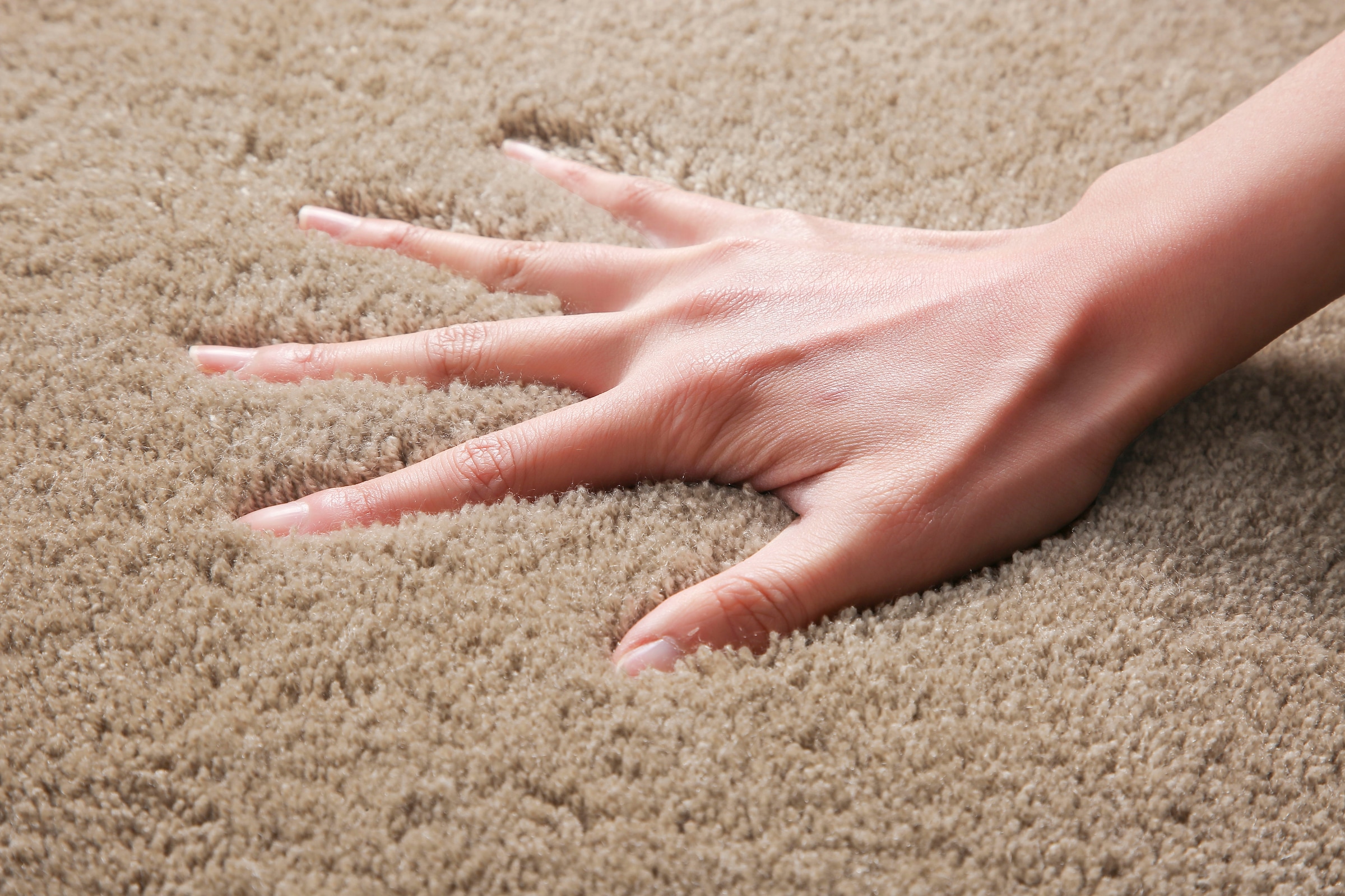 my home Badematte »Merida Kurzflor, Badteppich, Badvorleger, Badezimmer Teppich«, rutschhemmend beschichtet, fußbodenheizungsgeeignet-schnell trocknend-strapazierfähig, Badematten, Uni Farben, als halbrund und rechteckig erhältlich