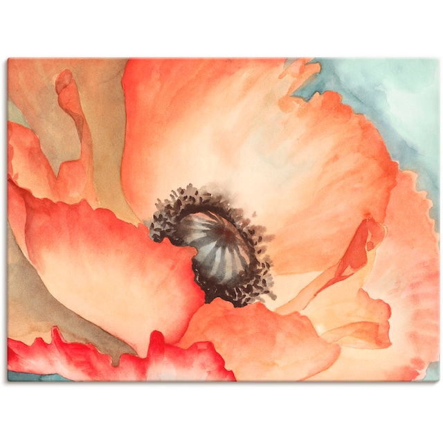 Artland Wandbild »Wasserfarben Mohn II«, Blumen, (1 St.), als Alubild,  Leinwandbild, Wandaufkleber oder Poster in versch. Größen bestellen | BAUR