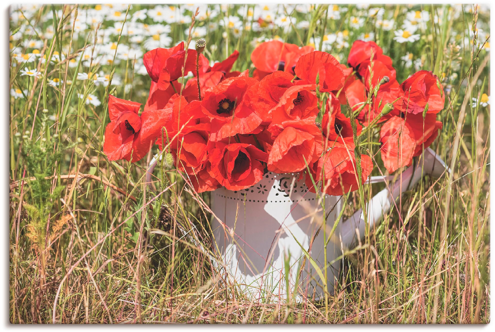 Artland Leinwandbild "Mohnblüten im Feld" Blumenwiese 1 Stk. tlg. auf Holzrahmen gespannt