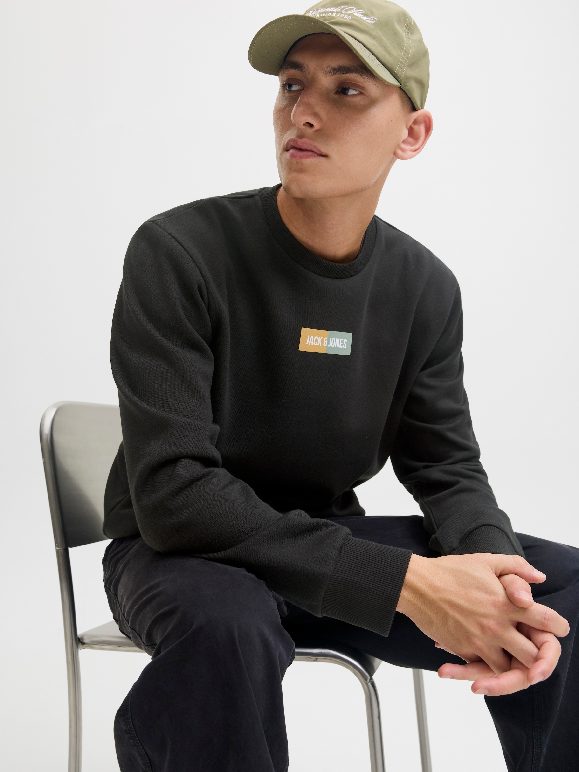 Jack & Jones Sweater »JJPAN SWEAT CREW NECK«
