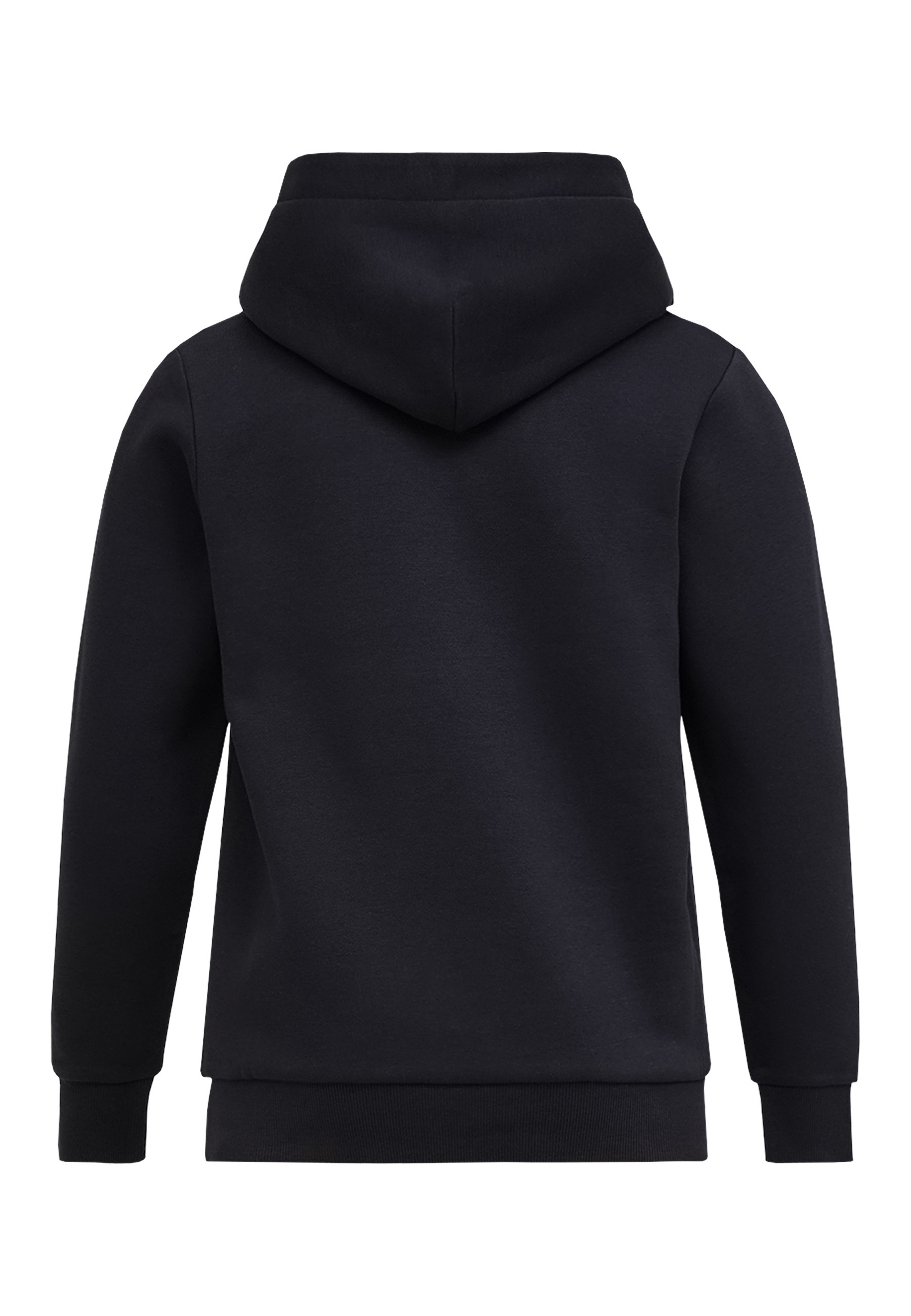 Peak Performance Kapuzensweatshirt »Jr Original Small Logo Hood«, mit Kapuze
