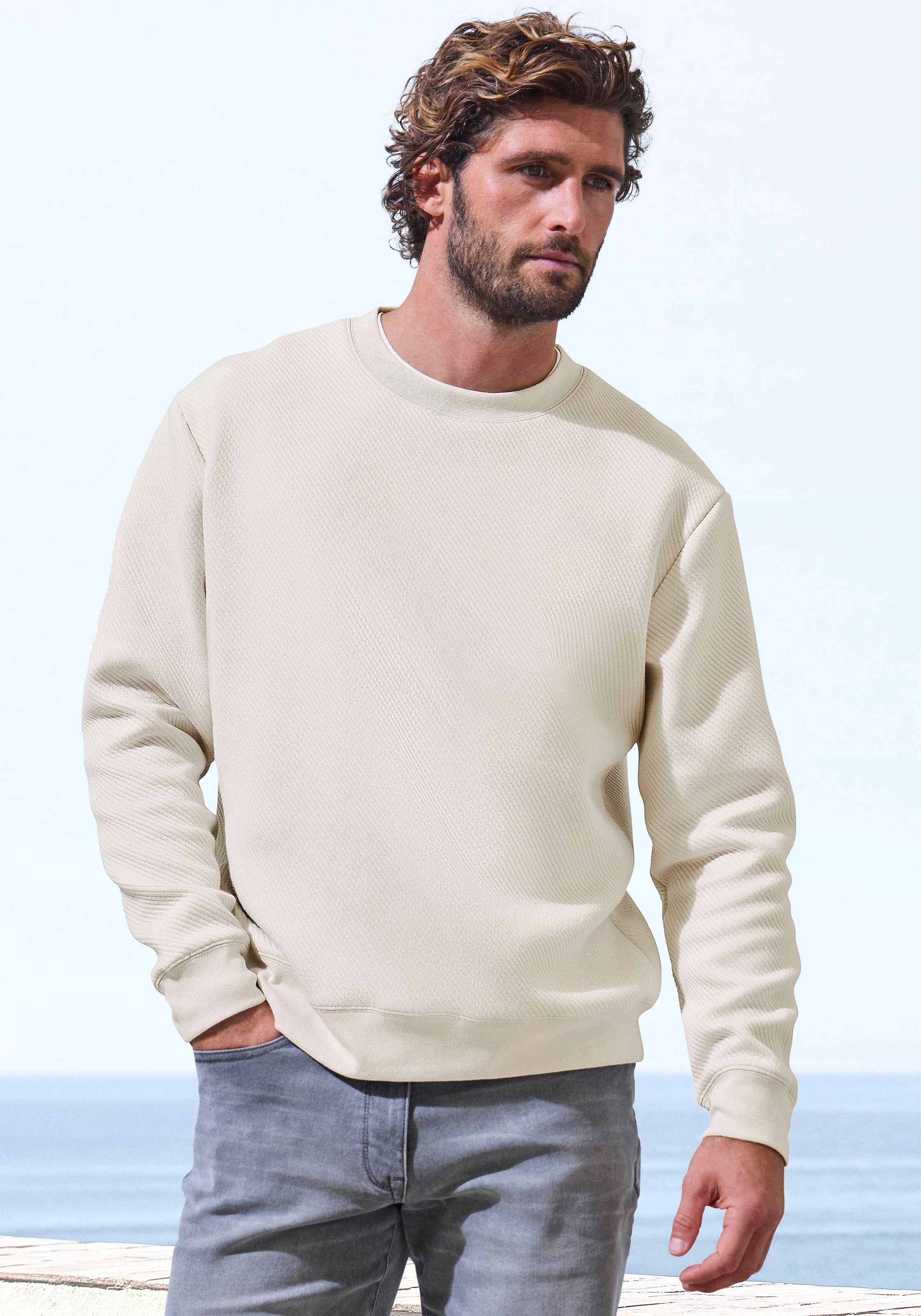 John Devin Sweatshirt, Langarm, Pullover mit Struktur, Rundhals, Baumwollmi günstig online kaufen