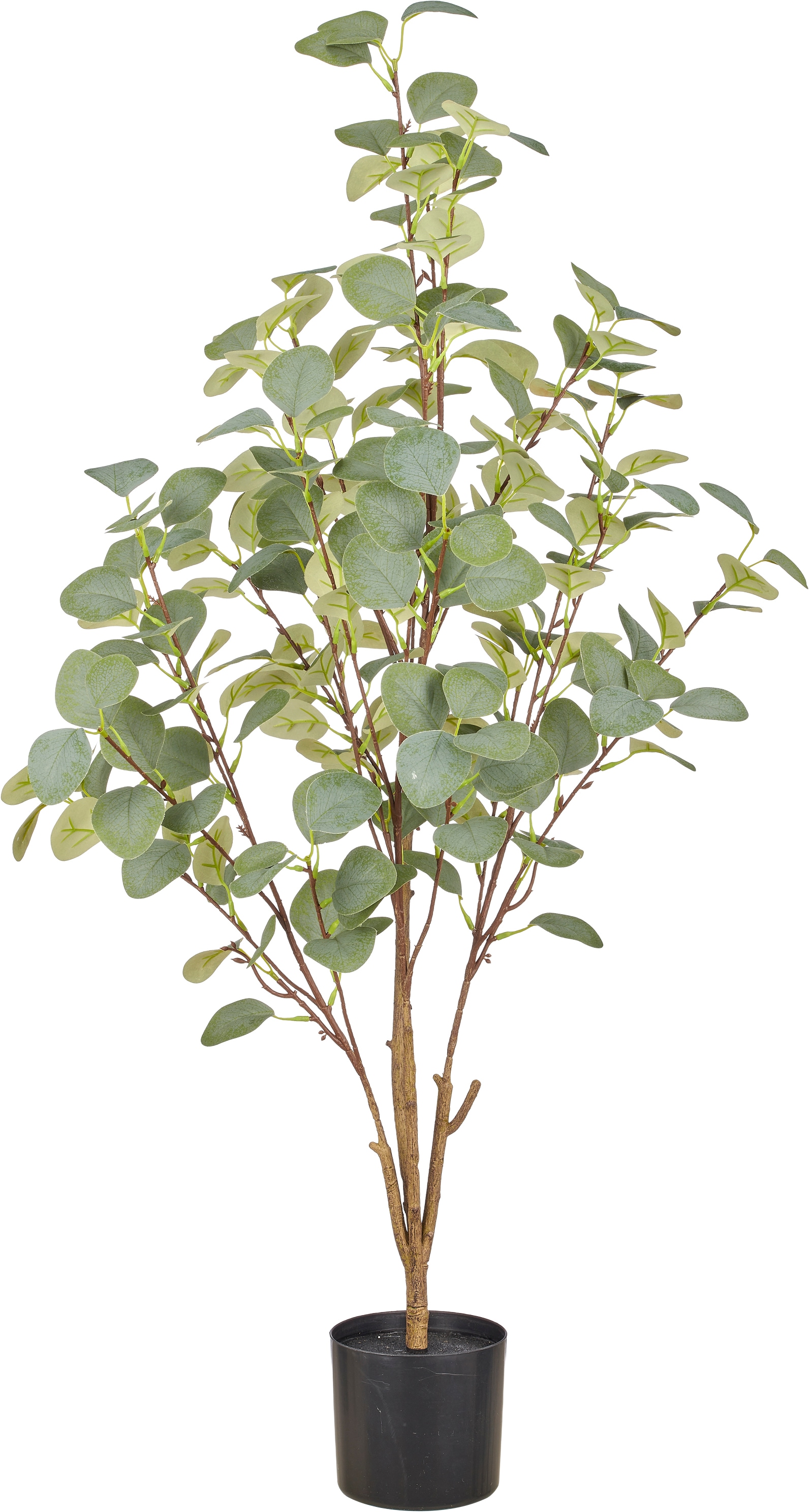 Creativ green Kunstpflanze "Eukalyptus" mit naturgetreuem Blattwerk