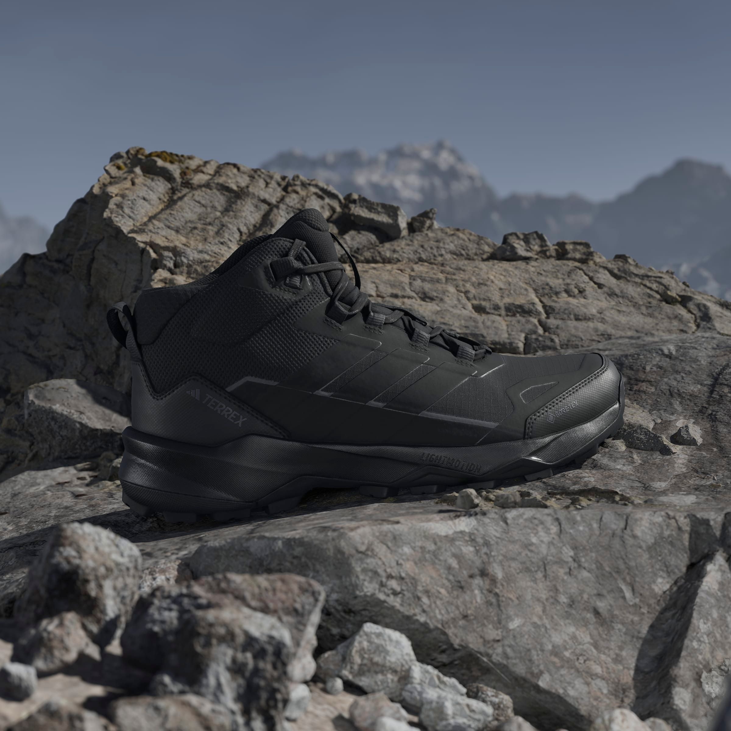 adidas TERREX Wanderschuh »TERREX SKYCHASER AX5 MID GORE-TEX E.«, wasserdicht
