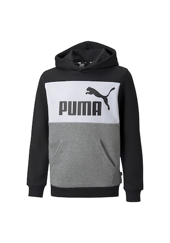 PUMA Sportinio stiliaus megztinis »Essentia...