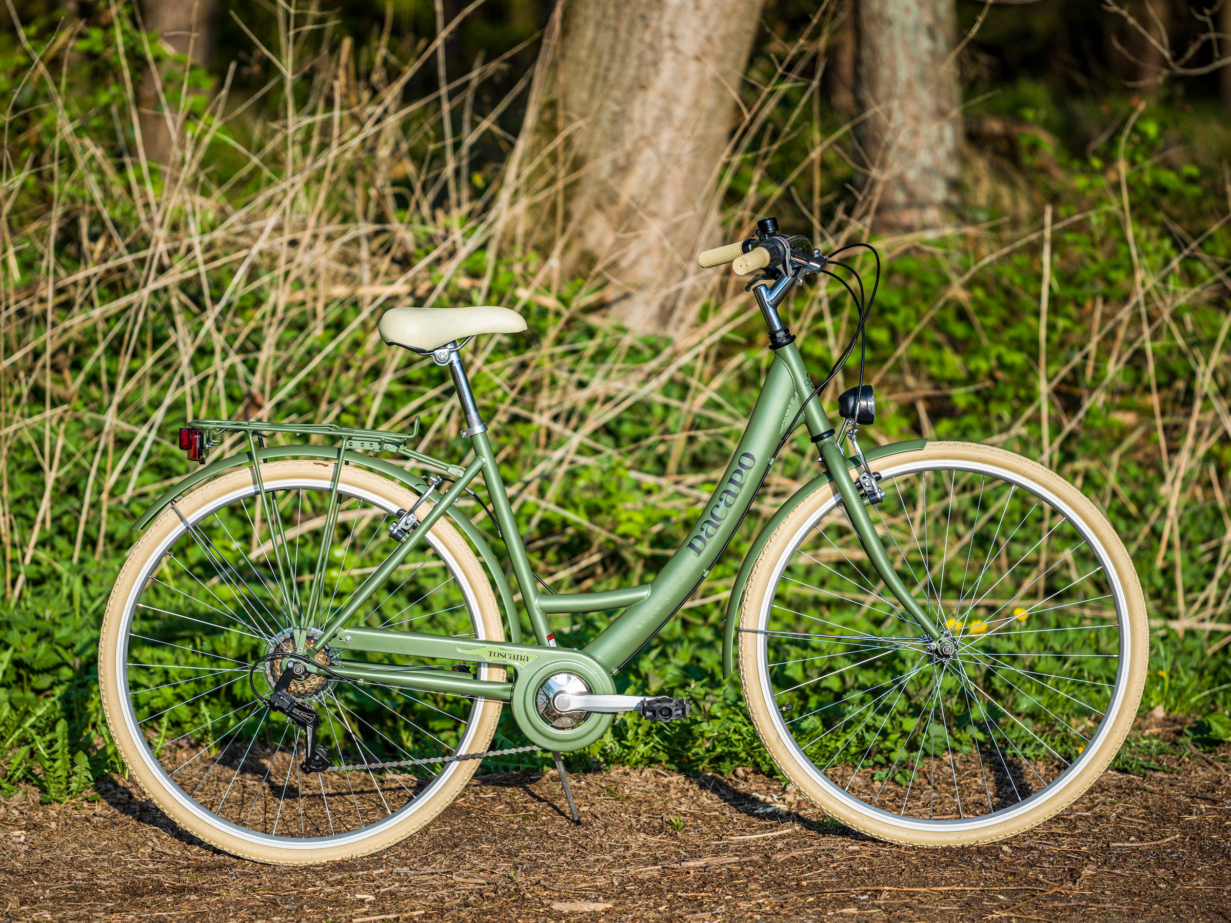 Dacapo Cityrad »Damenfahrrad 28'' Toscana grün Oregano 6 Gänge RH 48 cm«, 6 Gang, Kettenschaltung