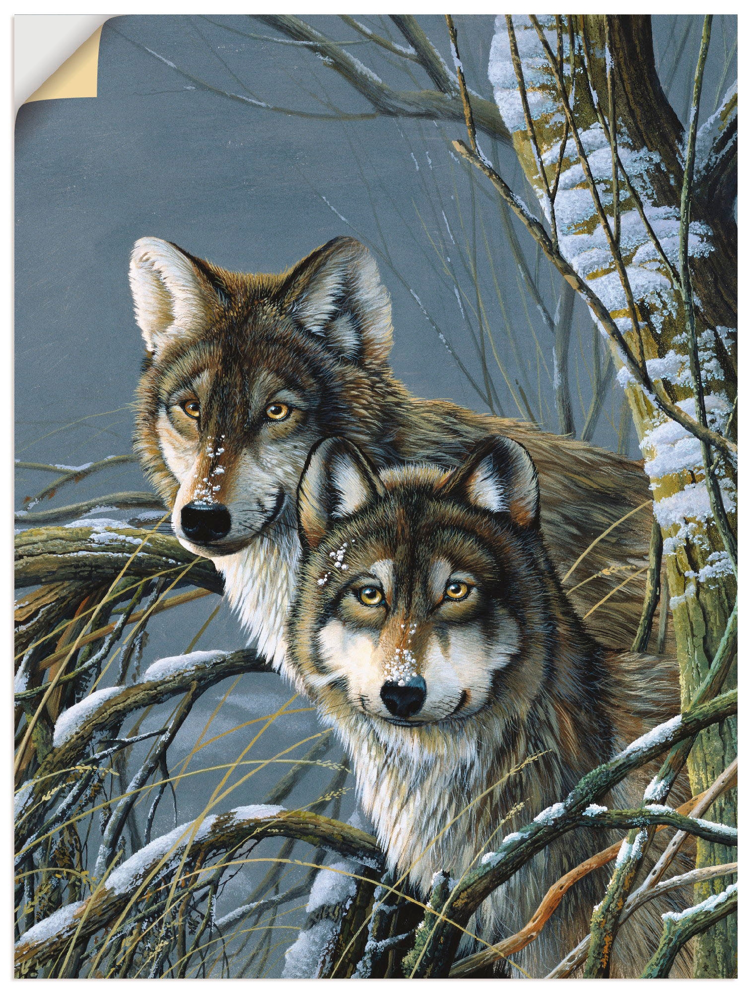 Artland Wandfolie "Zwei Wölfe", Wildtiere, (1 St.), selbstklebend