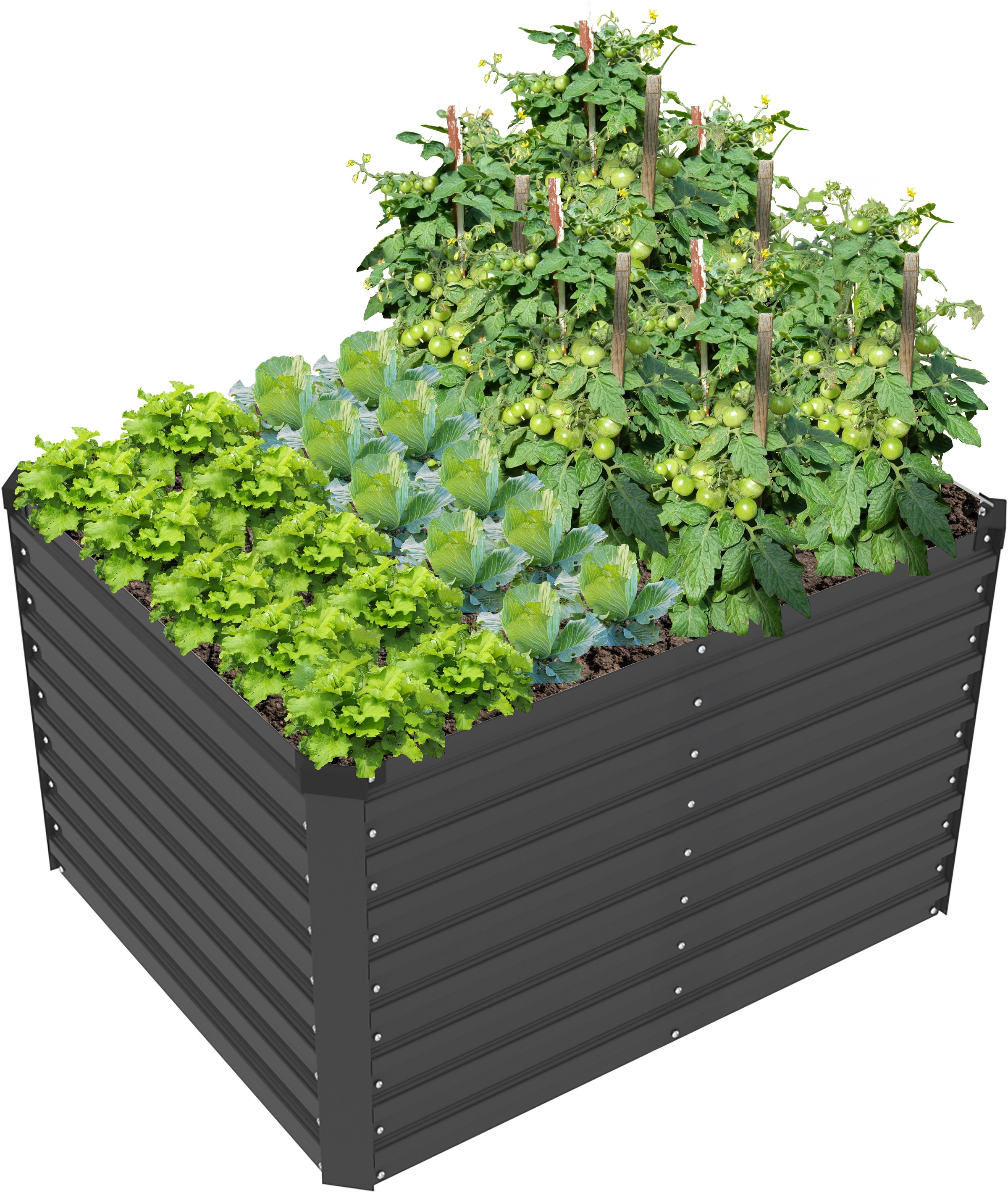 KONIFERA Emmy Raised Garden Bed Galvanized Steel Anthracite 100x60x80cm