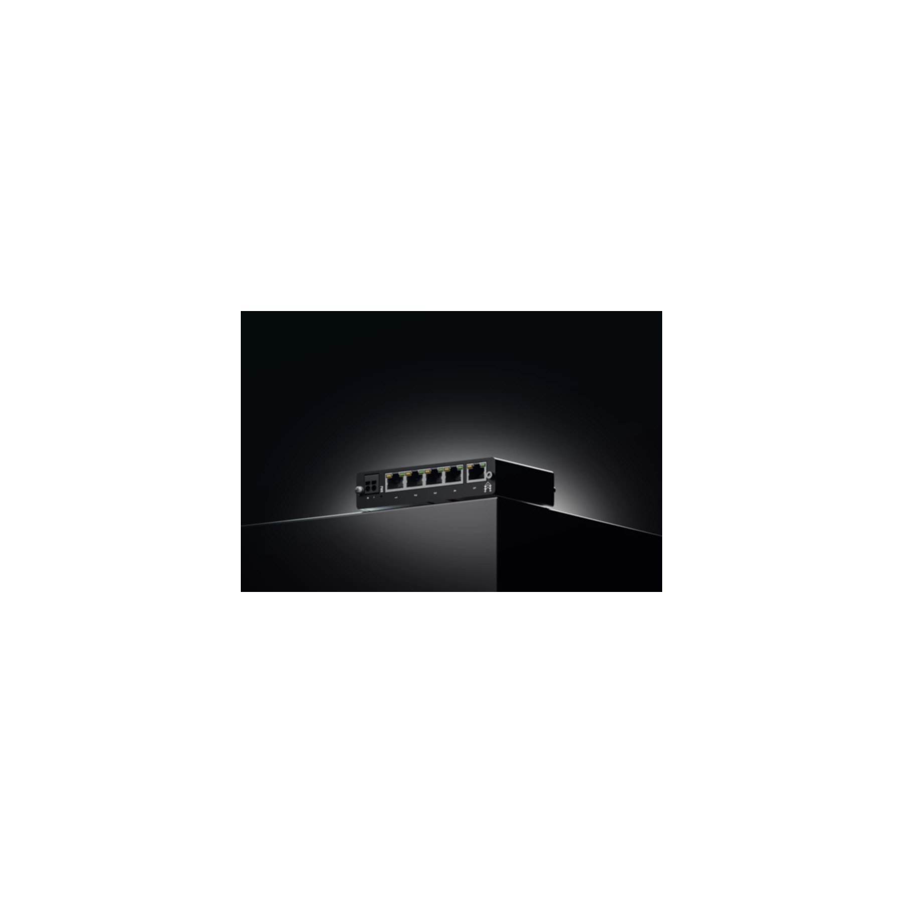 Teltonika Netzwerk-Switch »TSW114000000«