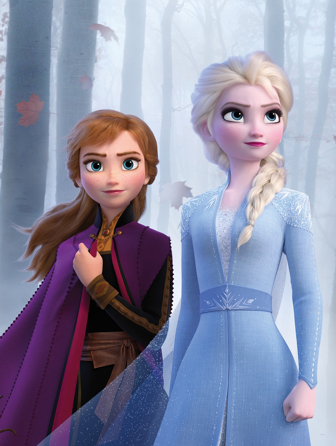 Komar Bild "Frozen Sisters in the Wood" Disney 1 Stk. tlg. Wandbild zur Dekoration im Kinderzimmer - ohne Rahmen