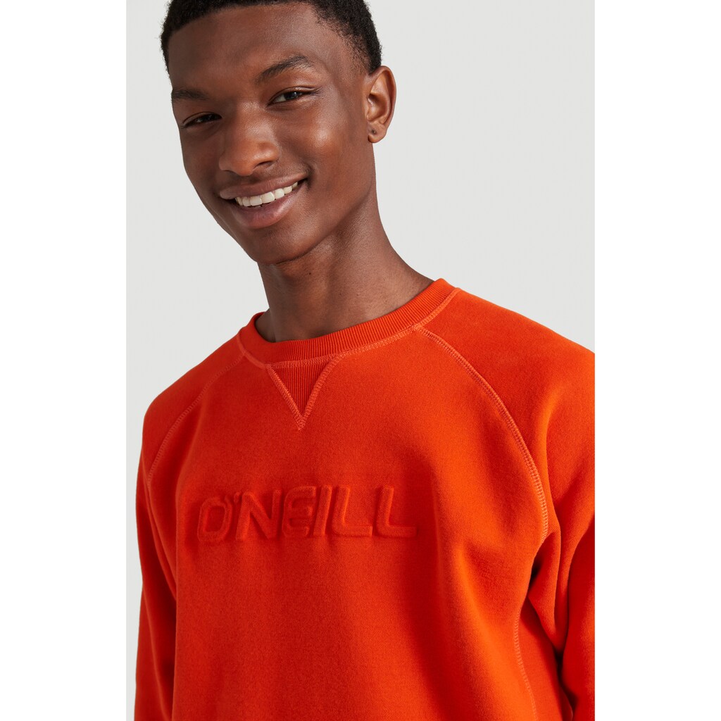 O'Neill Sweatshirt »"Logo"«