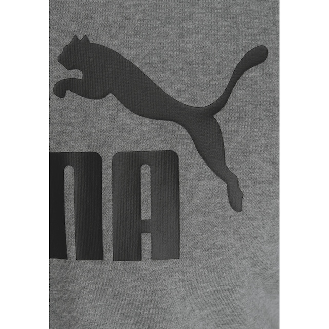 PUMA Kapuzensweatshirt »ESS BIG LOGO HOODIE TR« ▷ kaufen | BAUR | Sweatshirts