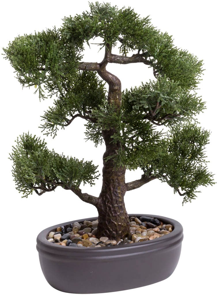 Botanic-Haus Kunstbonsai "Ceder Bonsai"