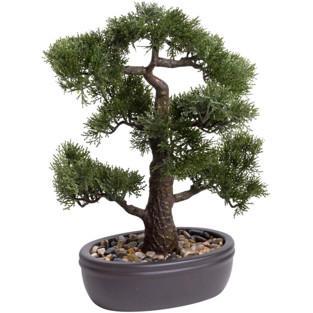 Botanic-Haus Kunstbonsai »Ceder Bonsai«