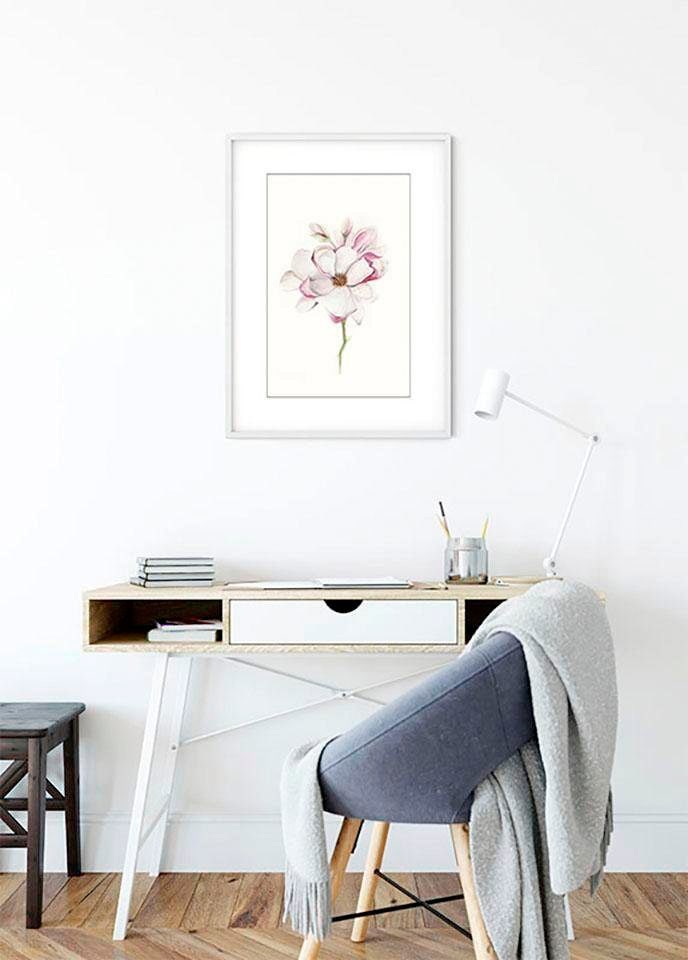 Komar Poster »Magnolia Blossom«, Blumen, (1 St.), Kinderzimmer, Schlafzimmer,  Wohnzimmer | BAUR