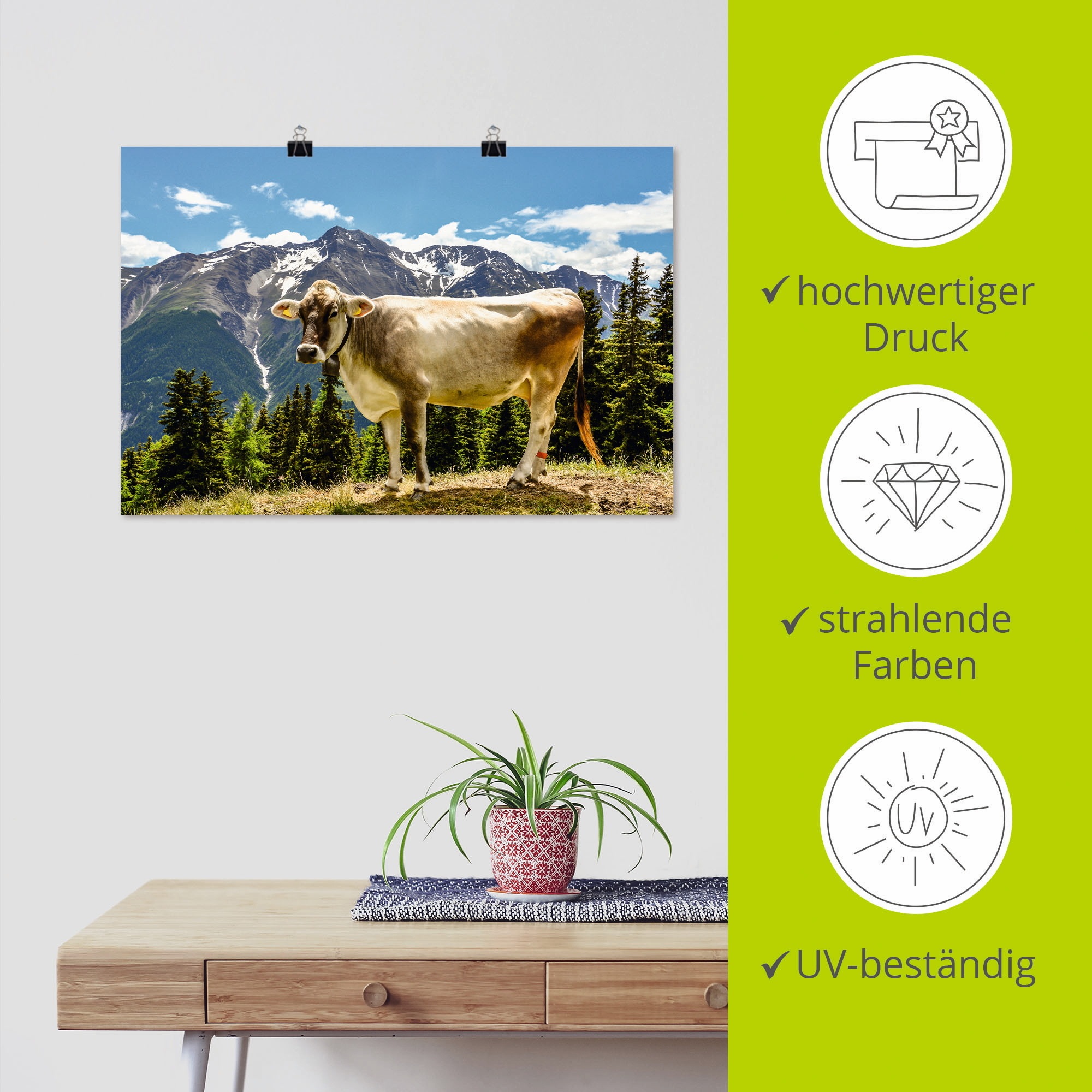Artland Wandbild »Bergkuh in den Alpen im Sommer«, Haustiere, (1 St.), als Leinwandbild, Poster, Wandaufkleber in verschied. Größen
