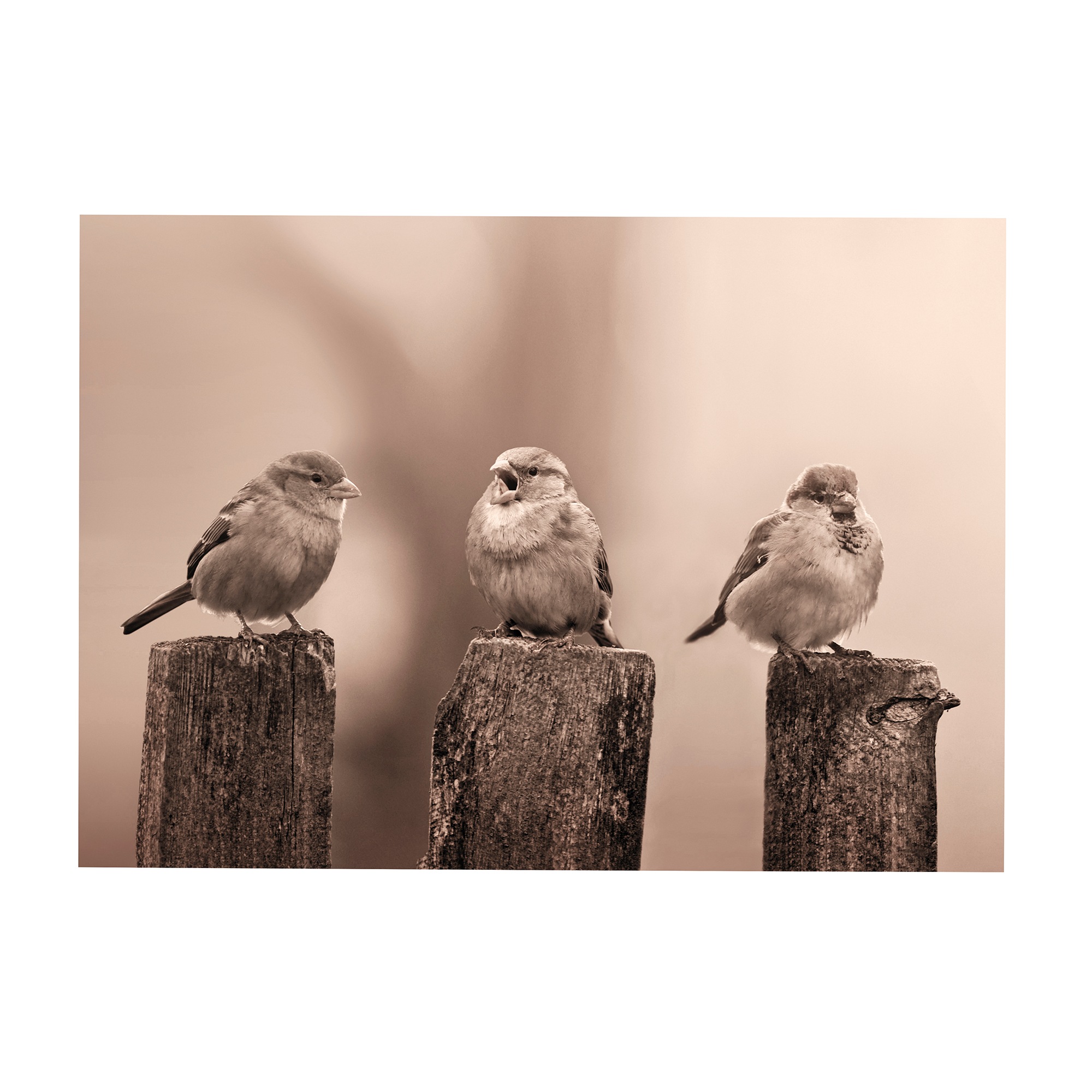Art for the home Leinwandbild »Outdoor Vogel 50x70cm«, Landschaften, (1 St.)