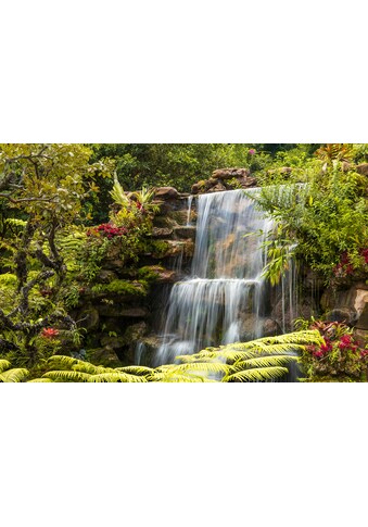 Fototapete »WASSERFALL-FLUSS SEE WALD STEINE BLUMEN BERGE BACH XXL«