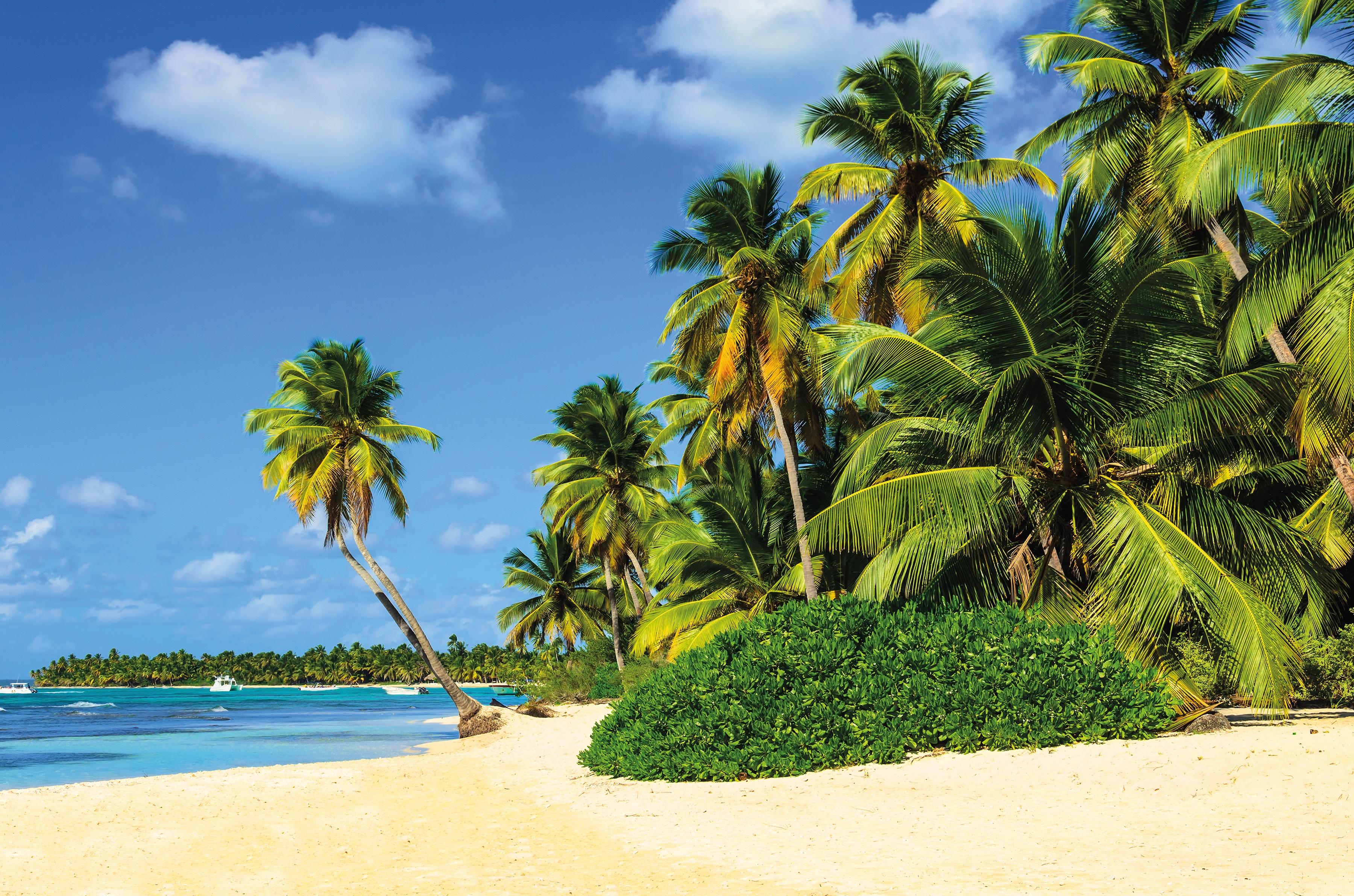 Papermoon Fototapete "Exotic Palm Beach" glatt